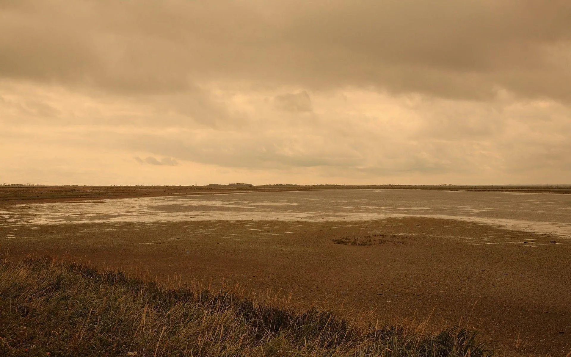 Vast Open Landscape Under a Cloudy Sky Wallpaper 4K