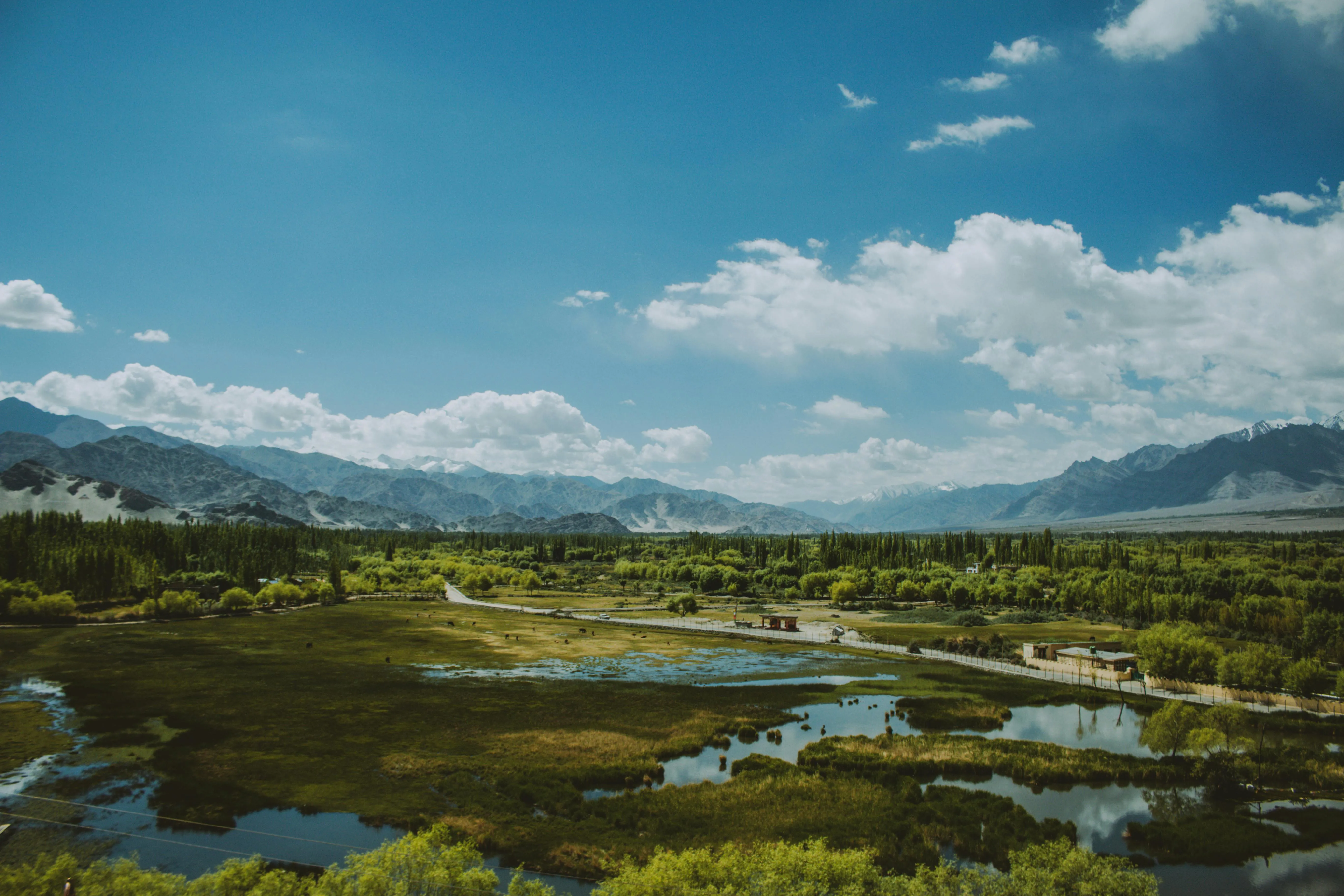 Vast Wetland Landscape Under Bright Blue Sky with Clouds