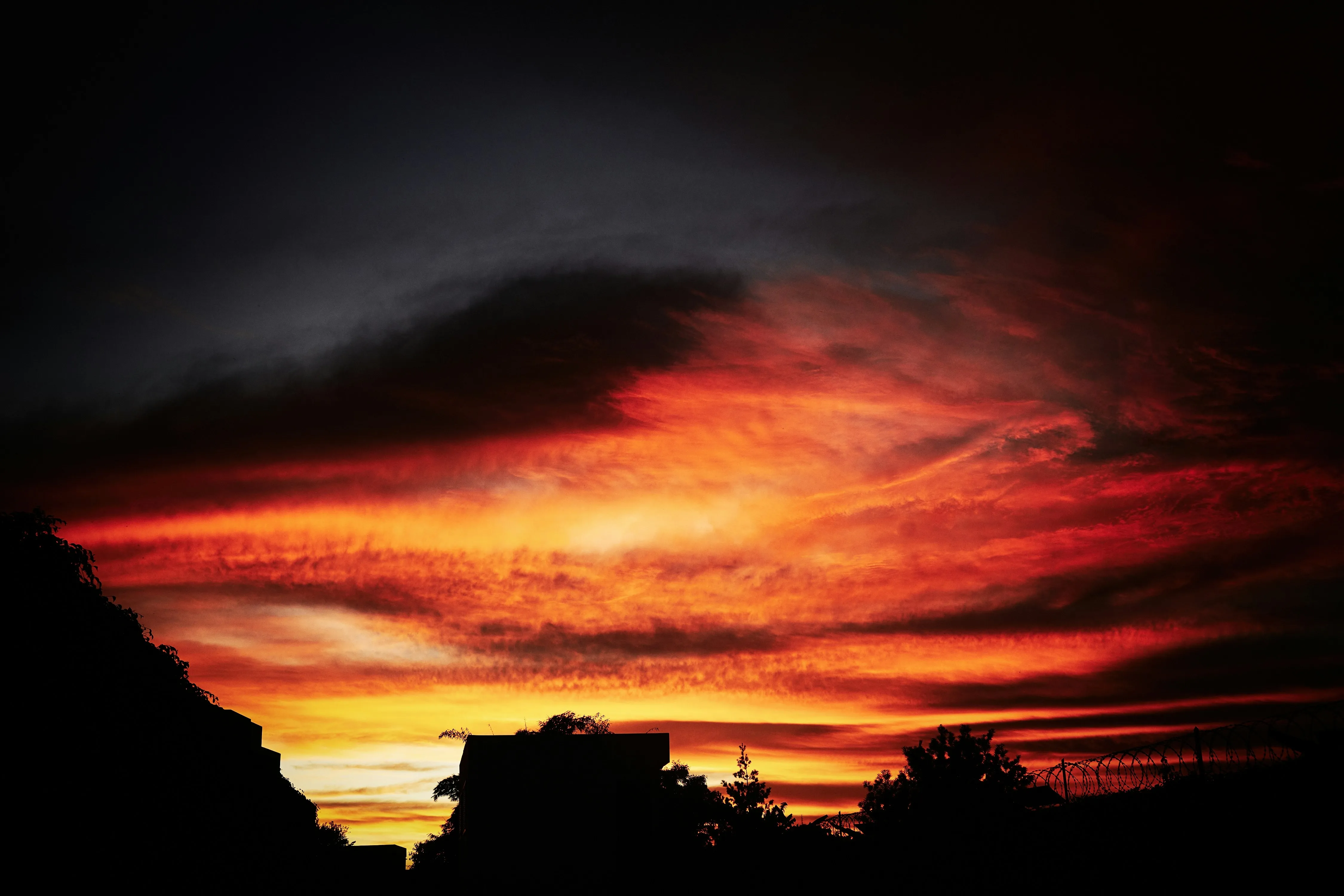 Vibrant Red and Orange Sunset Behind Dark Silhouetted Trees
