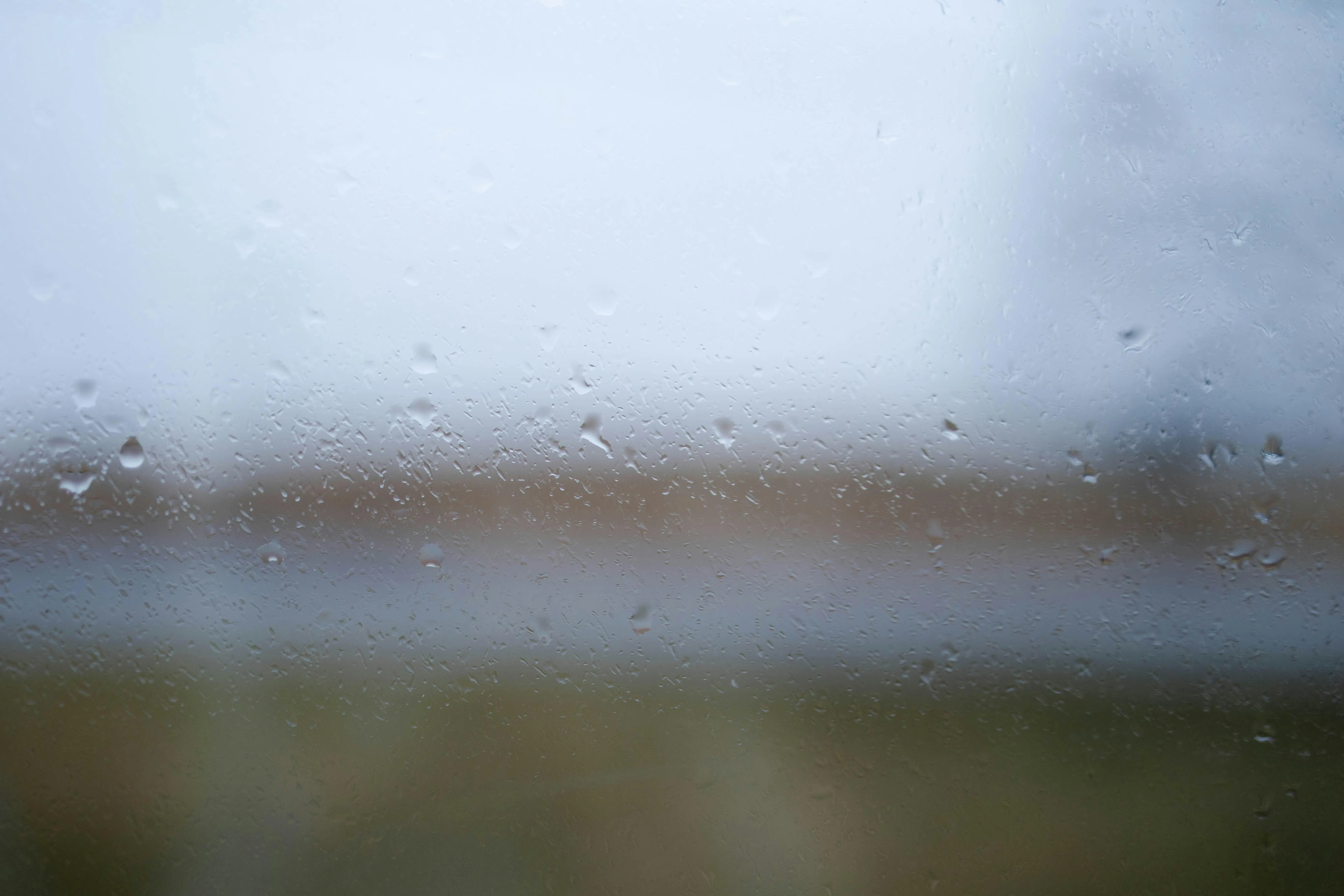 Wallpaper of Foggy Rainy Landscape with Blurry Background