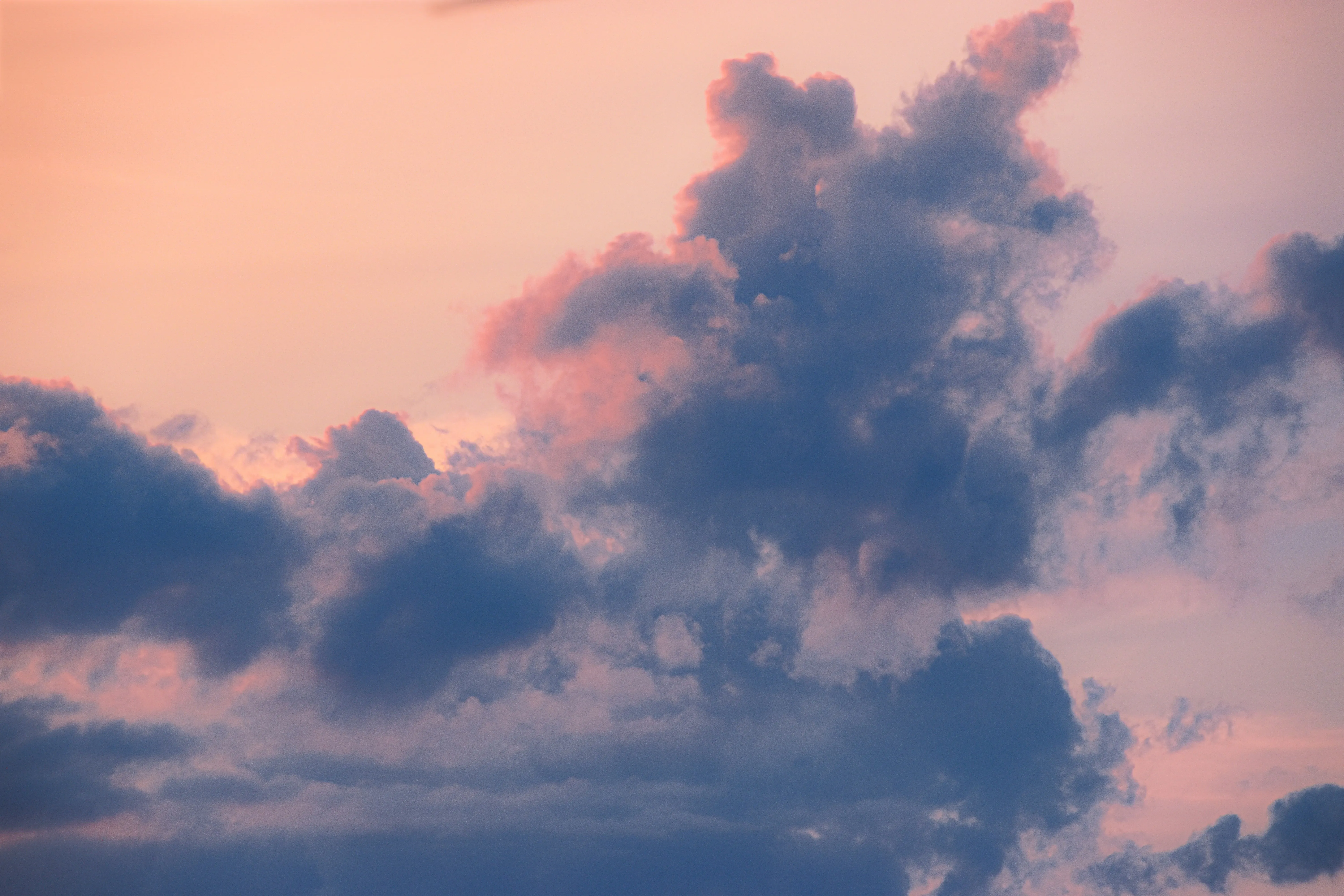 Warm Evening Sky with Pink Clouds and Silhouettes Wallpaper
