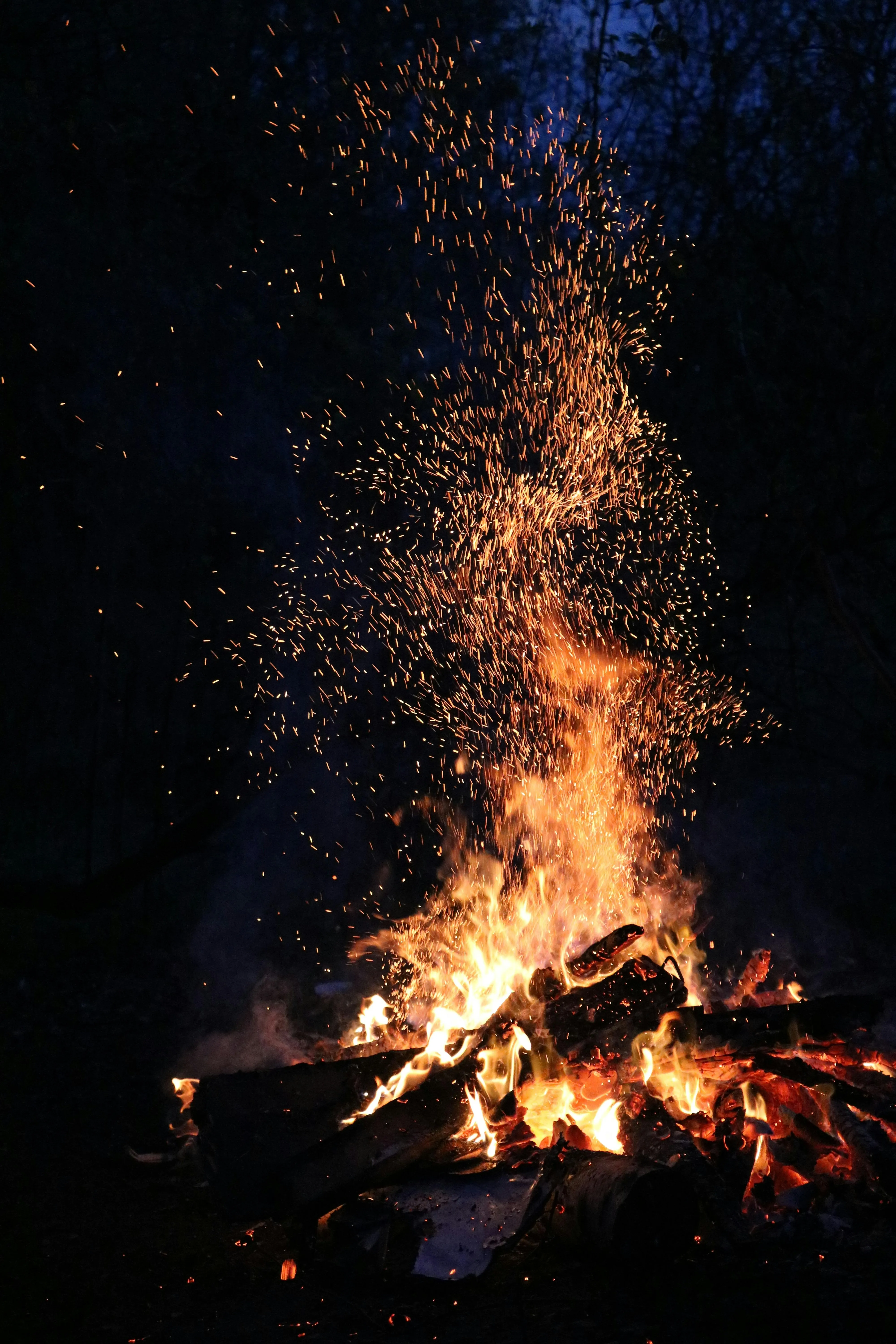 Warm Glowing Campfire Burning Brightly in Dark Forest Night