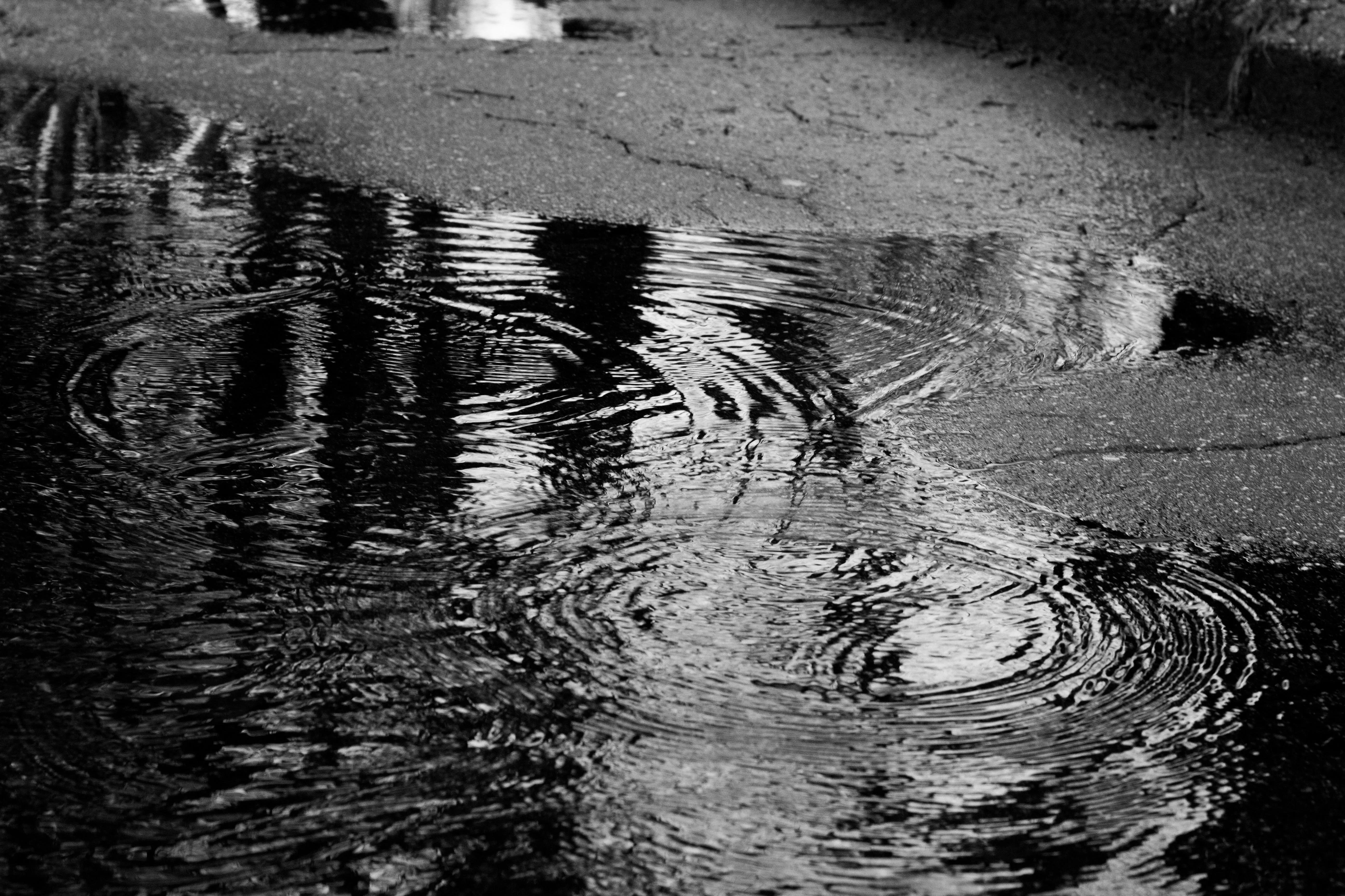 Water Ripples Forming in Puddles Under City Lights