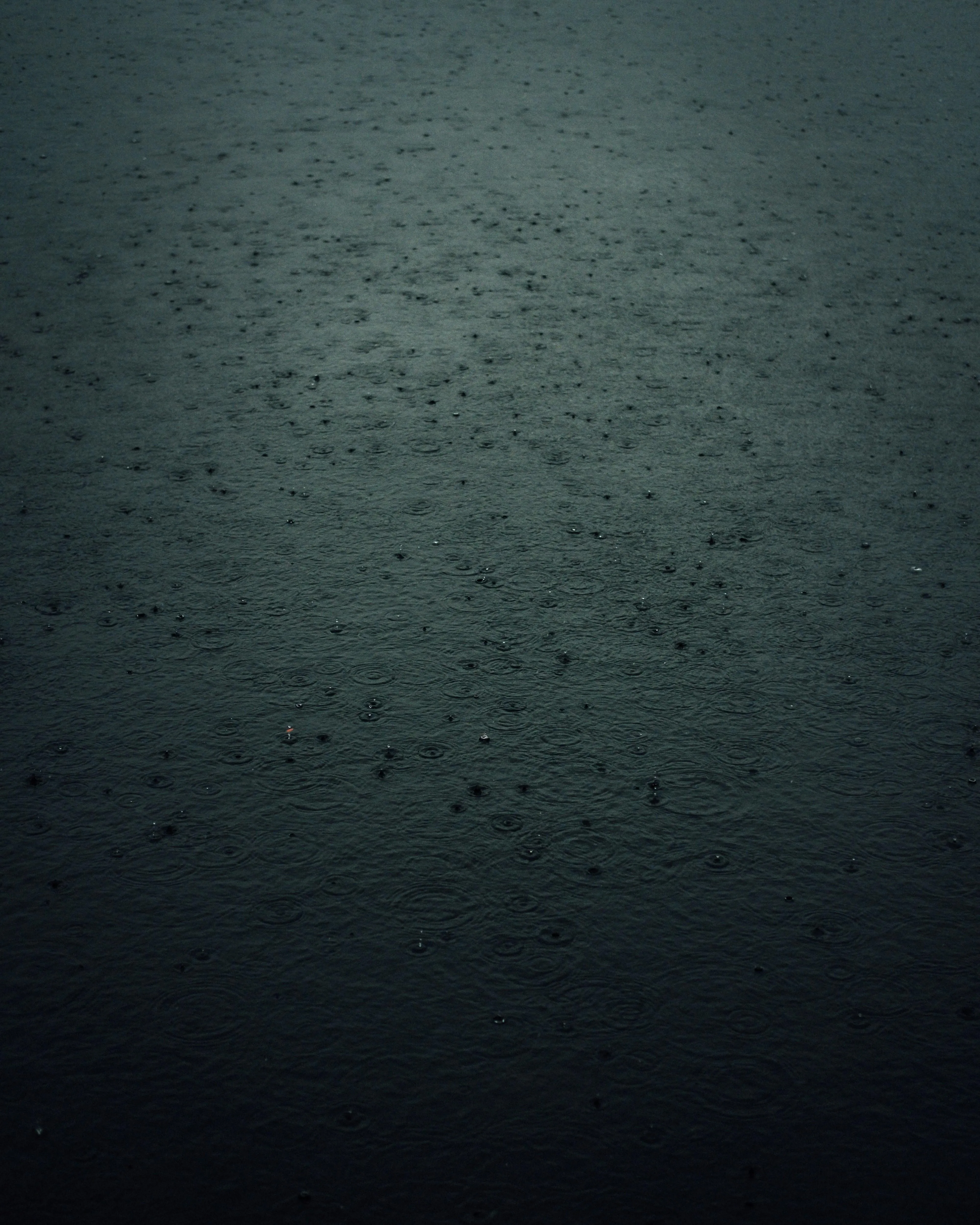 Water Ripples on Dark Surface During Rainy Weather