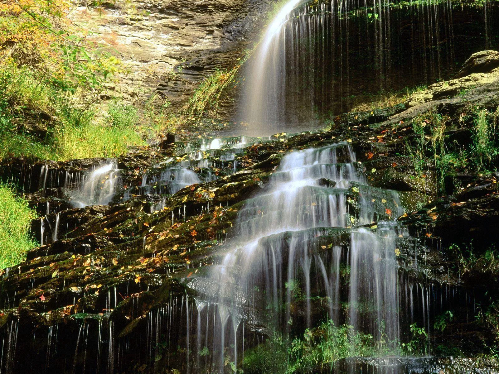Waterfall cascading through green mossy cliffs image
