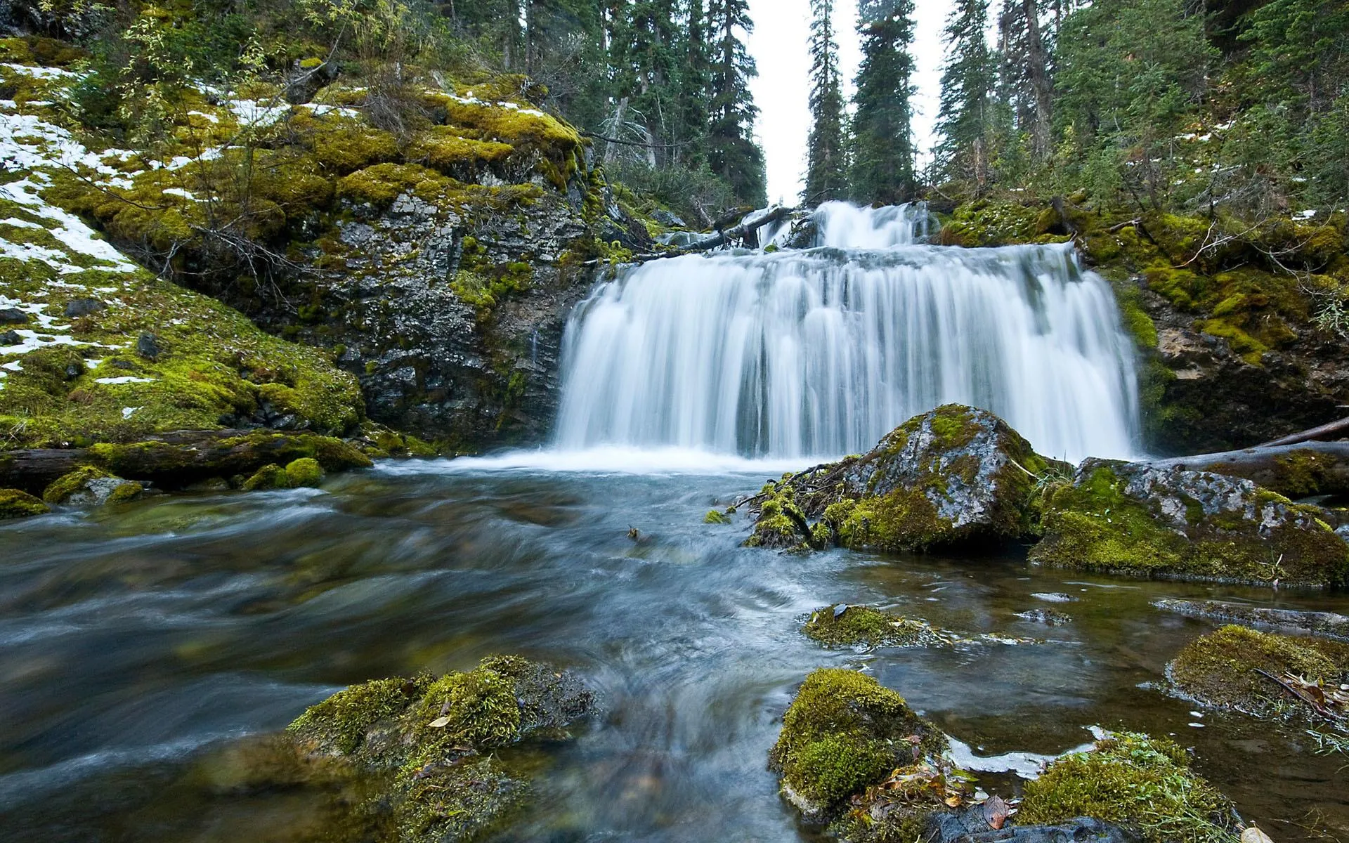 Waterfall cascading through mossy rocks and green forest