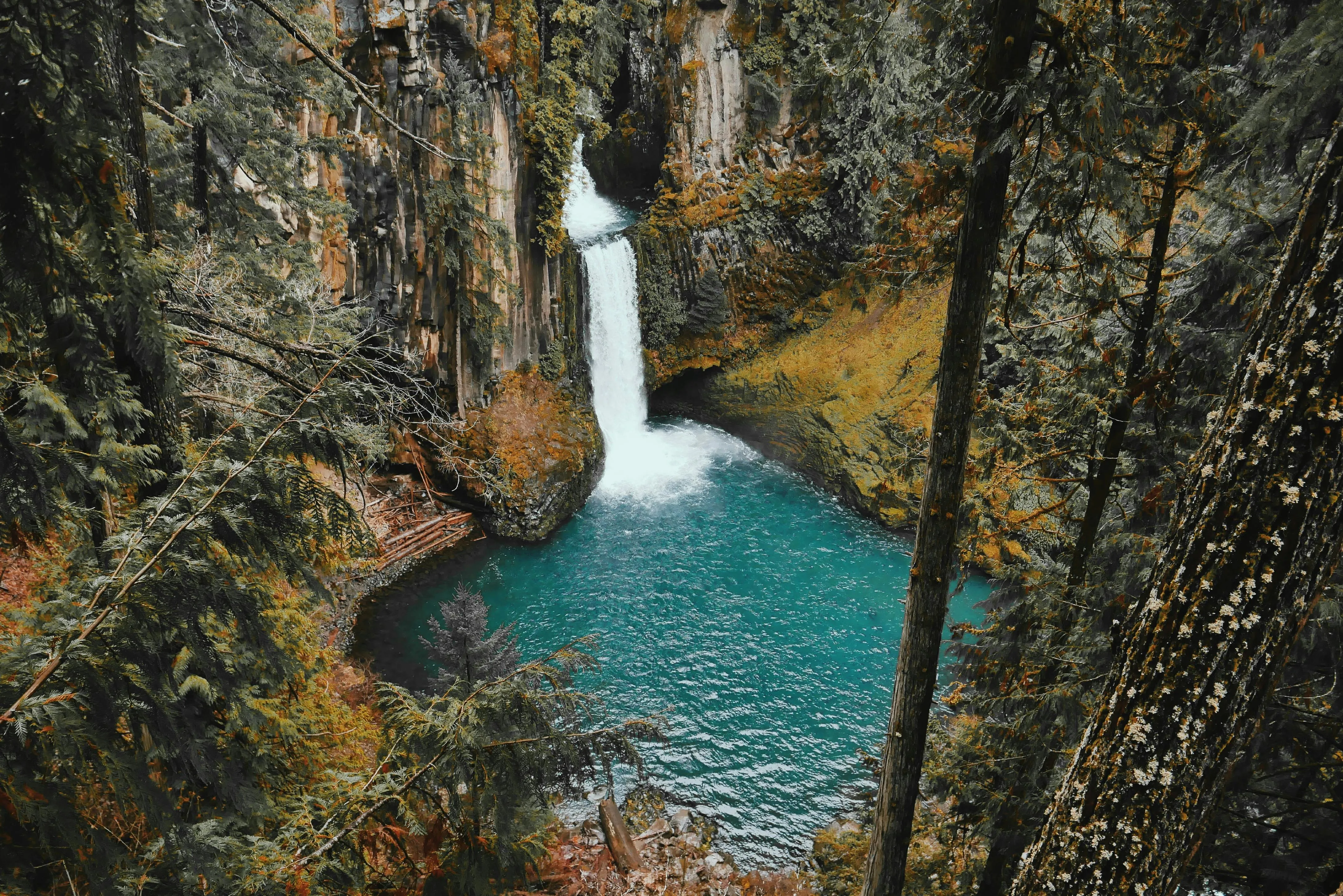Waterfall Flows Into a Canyon Surrounded by Pine Trees
