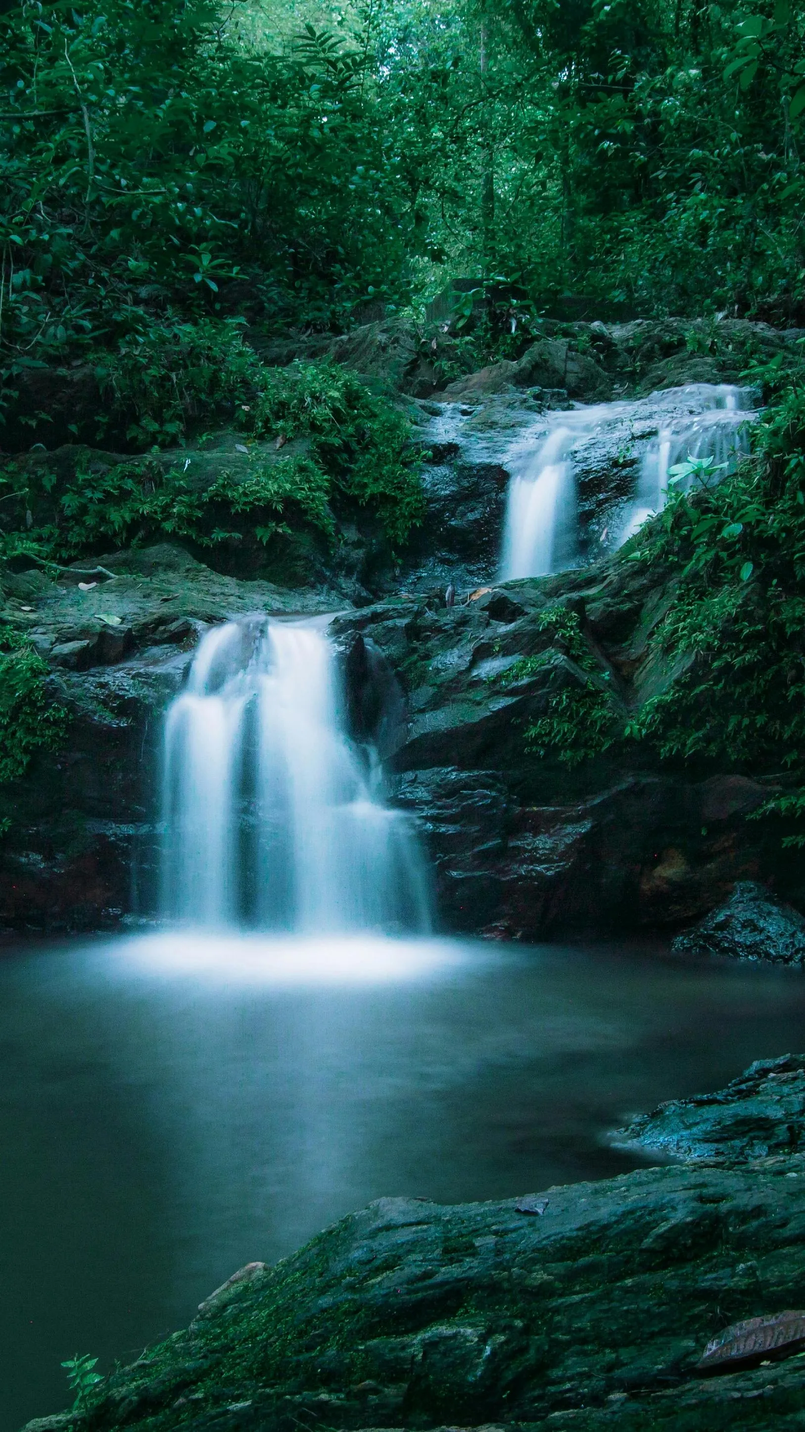 Waterfall in a Lush Green Forest Under a Calm Blue Sky