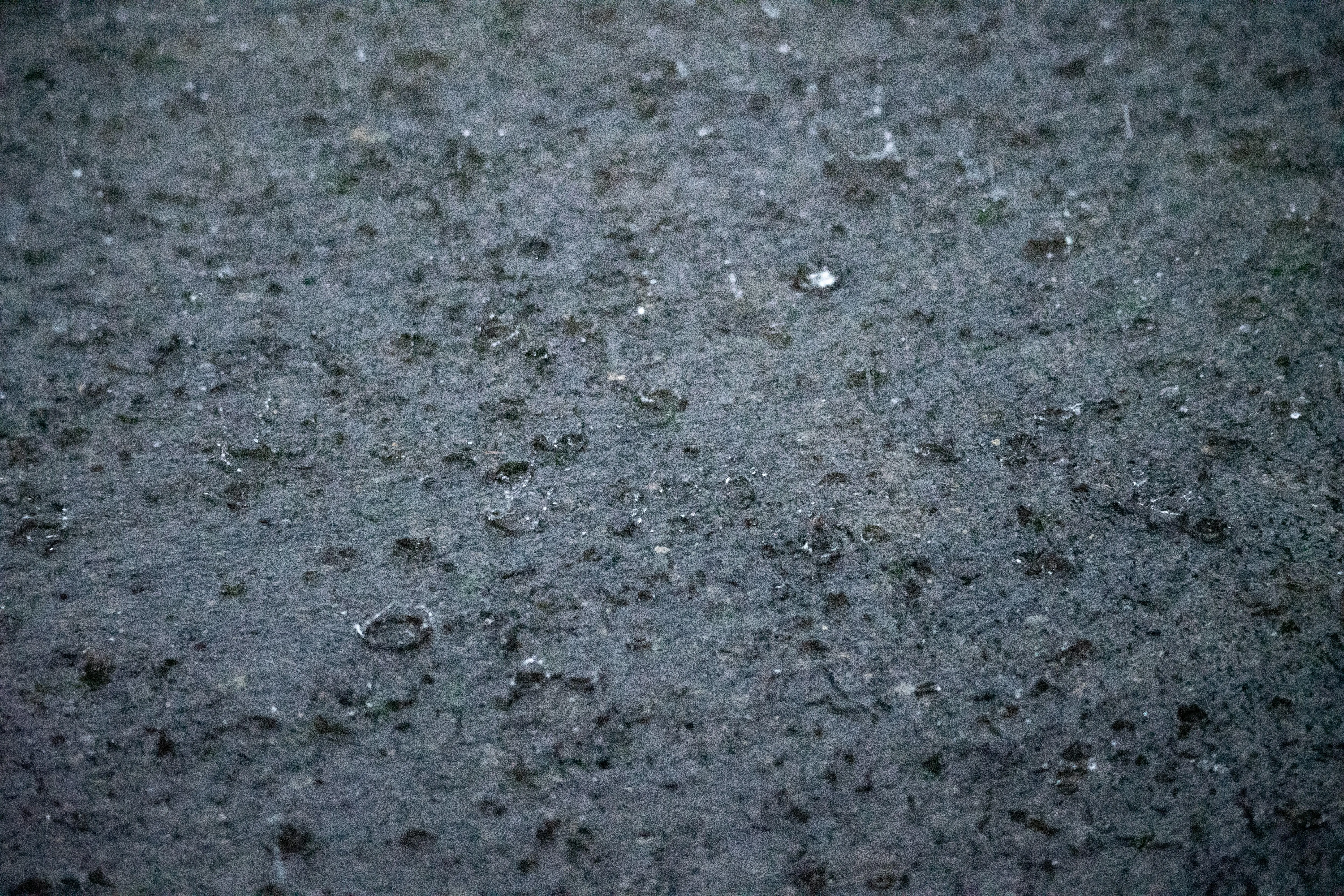 Wet Asphalt Surface Covered with Rainwater Puddles