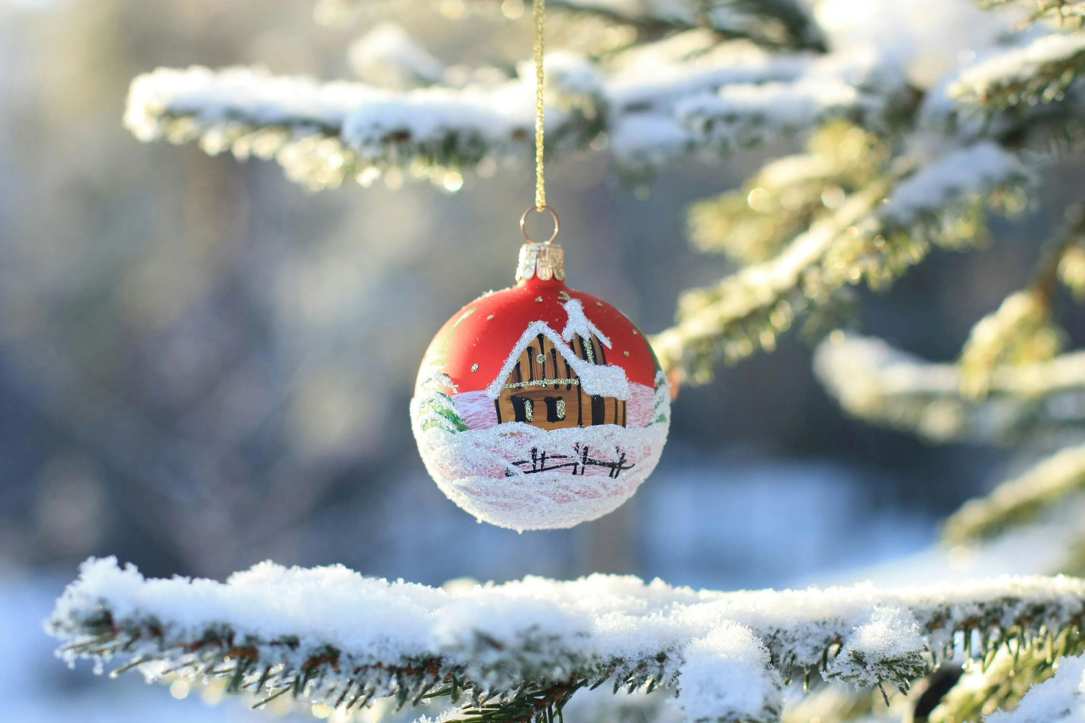 White Ornament With Red Bow Hanging On Snowy Branch