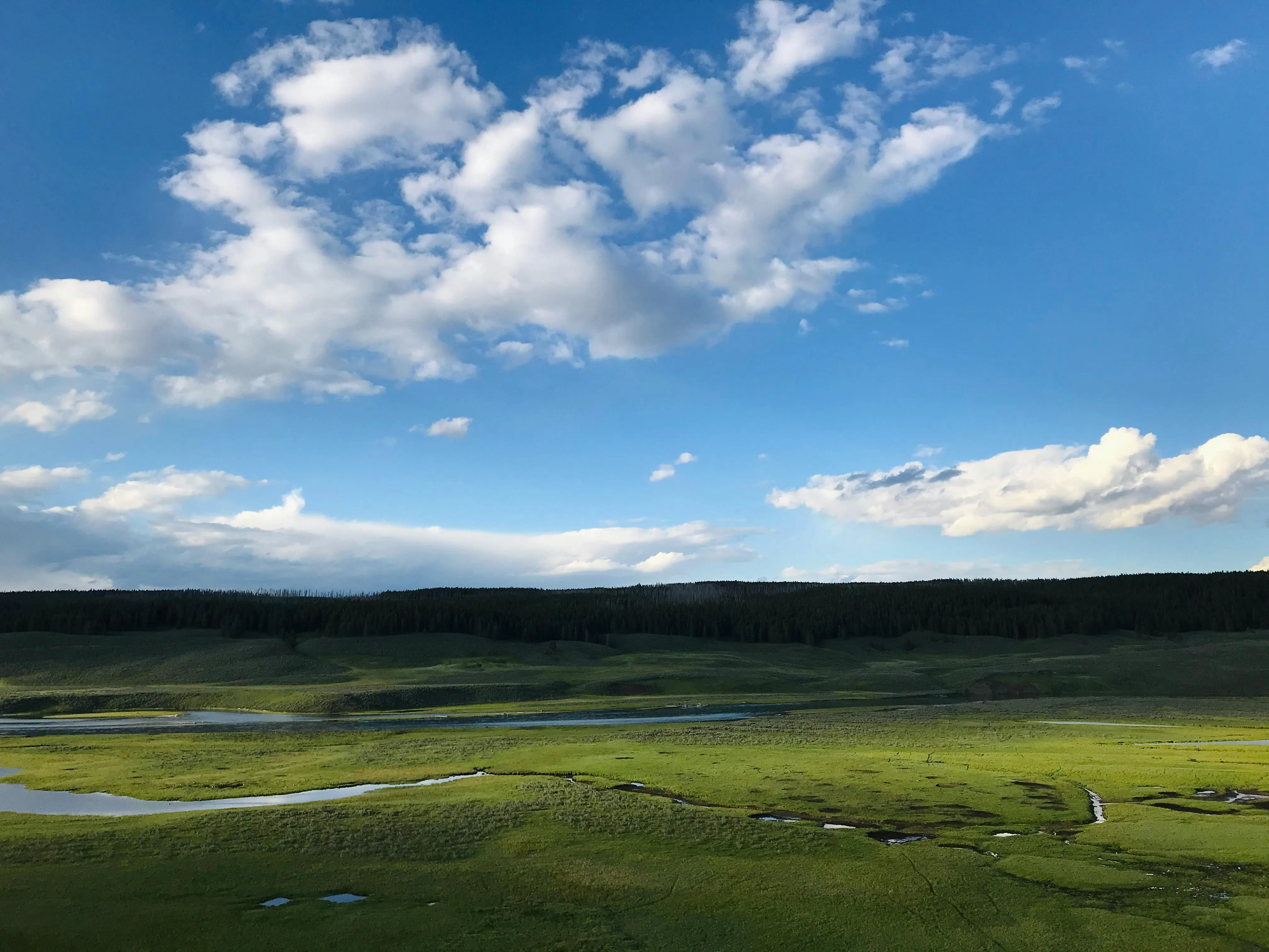 Wide Green Field Beneath a Peaceful Sky with Clouds Image