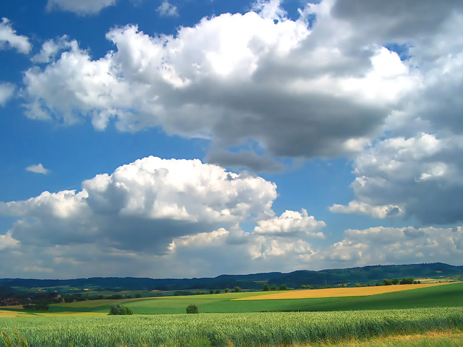 Wide Green Field Under a Sky Filled with White Clouds