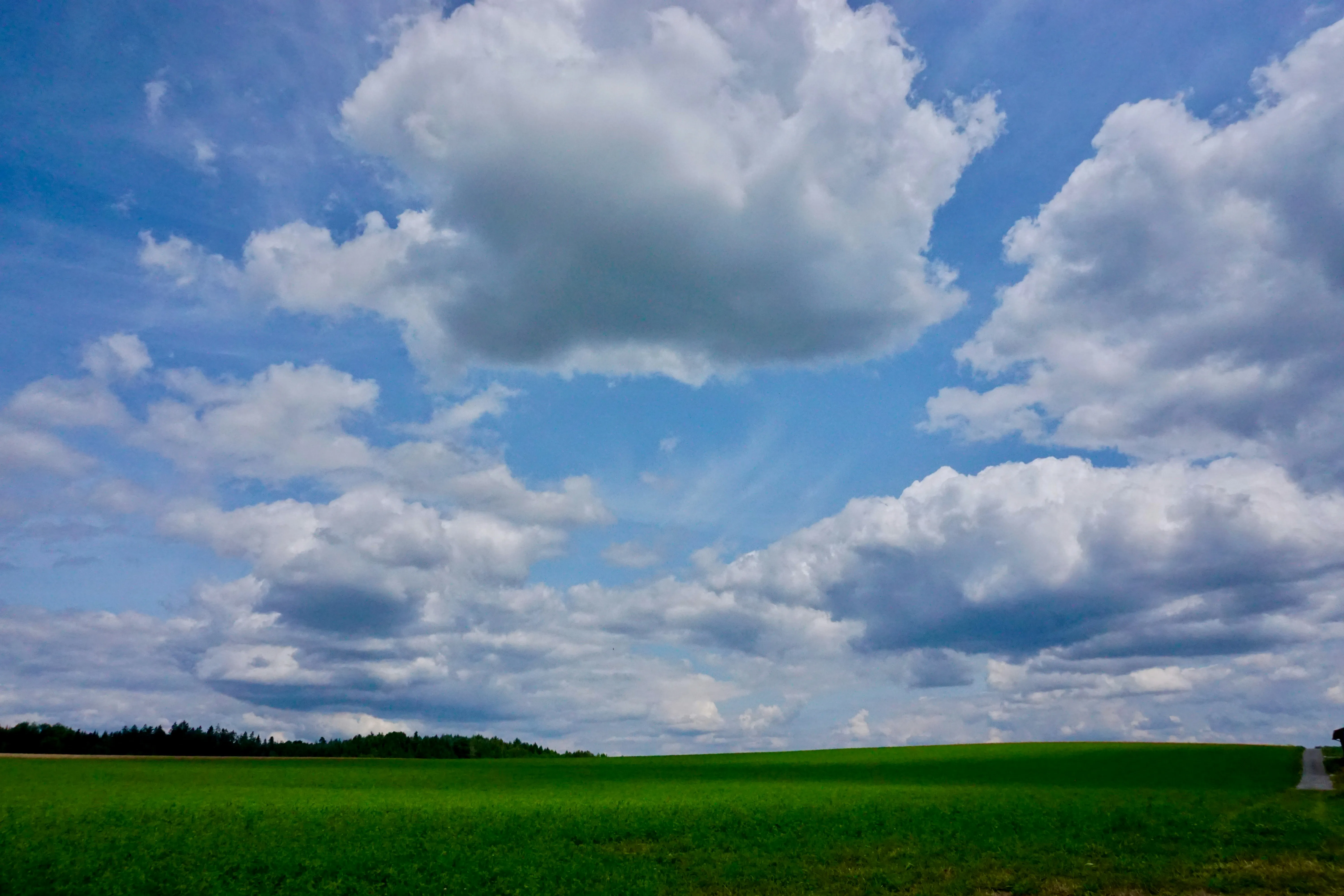Wide Open Field Under Blue Sky with Scattered White Clouds