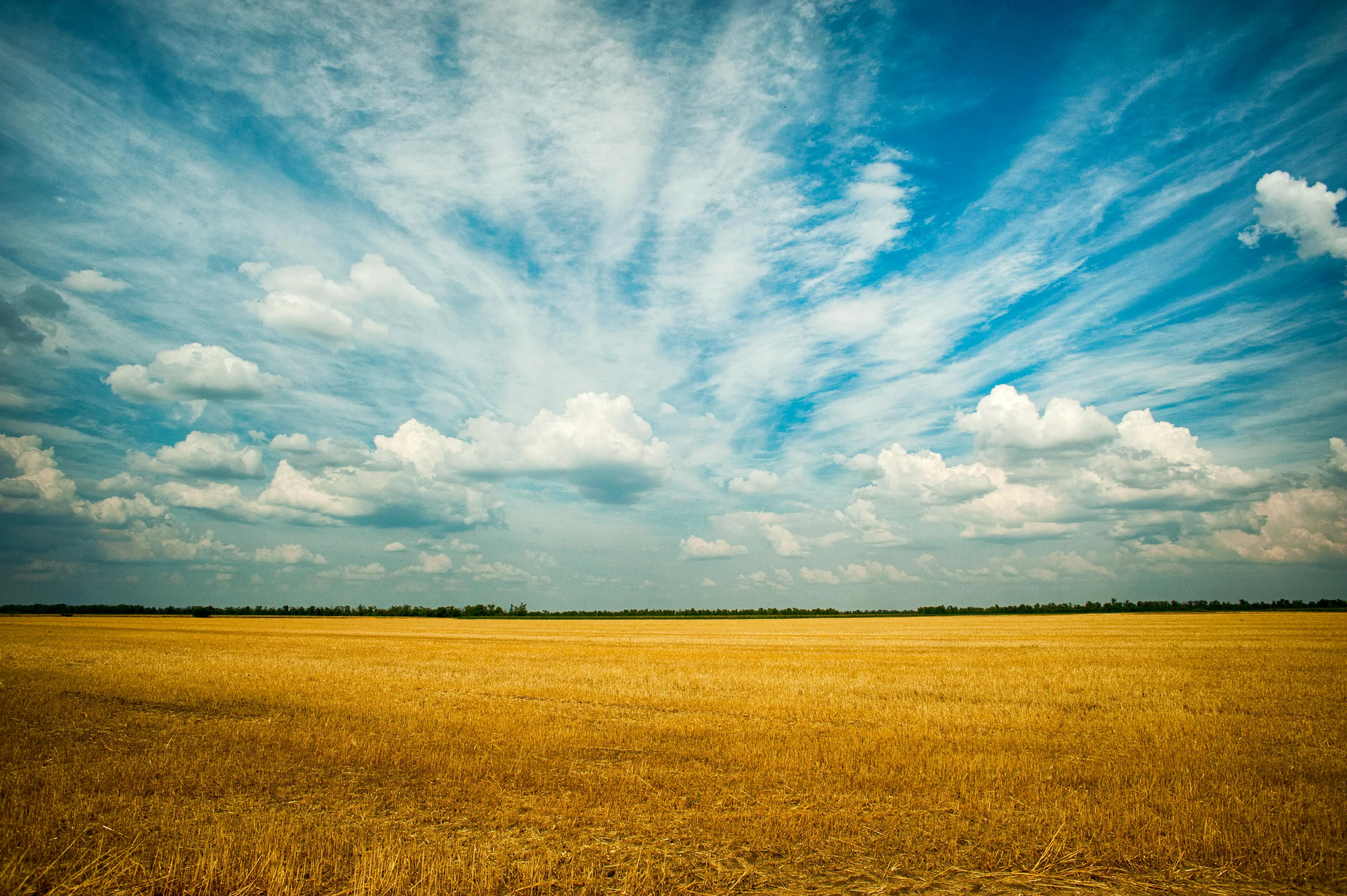 Wide Open Field Under Sky Filled with Scattered Clouds