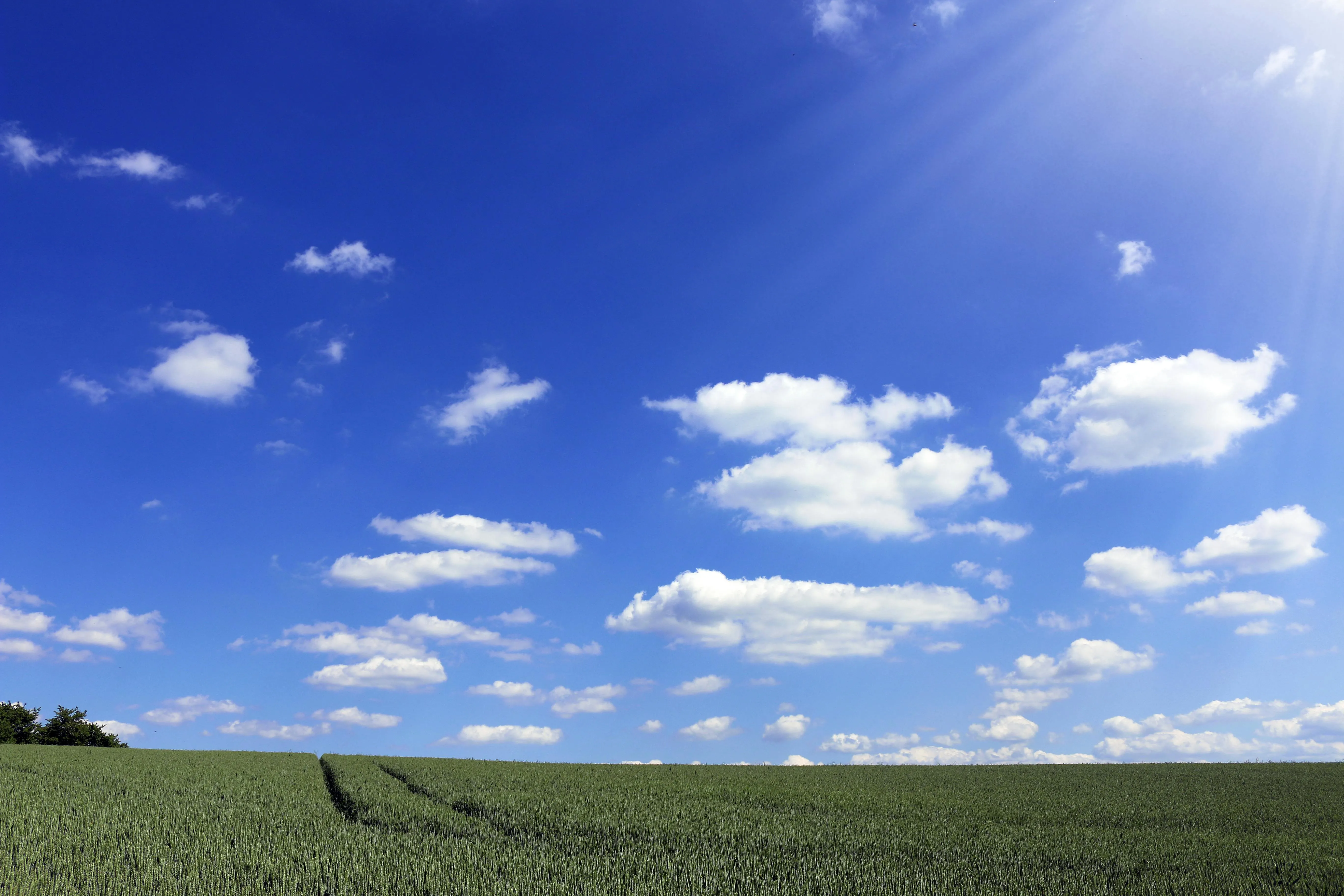 Wide Open Field with Green Grass and White Fluffy Clouds
