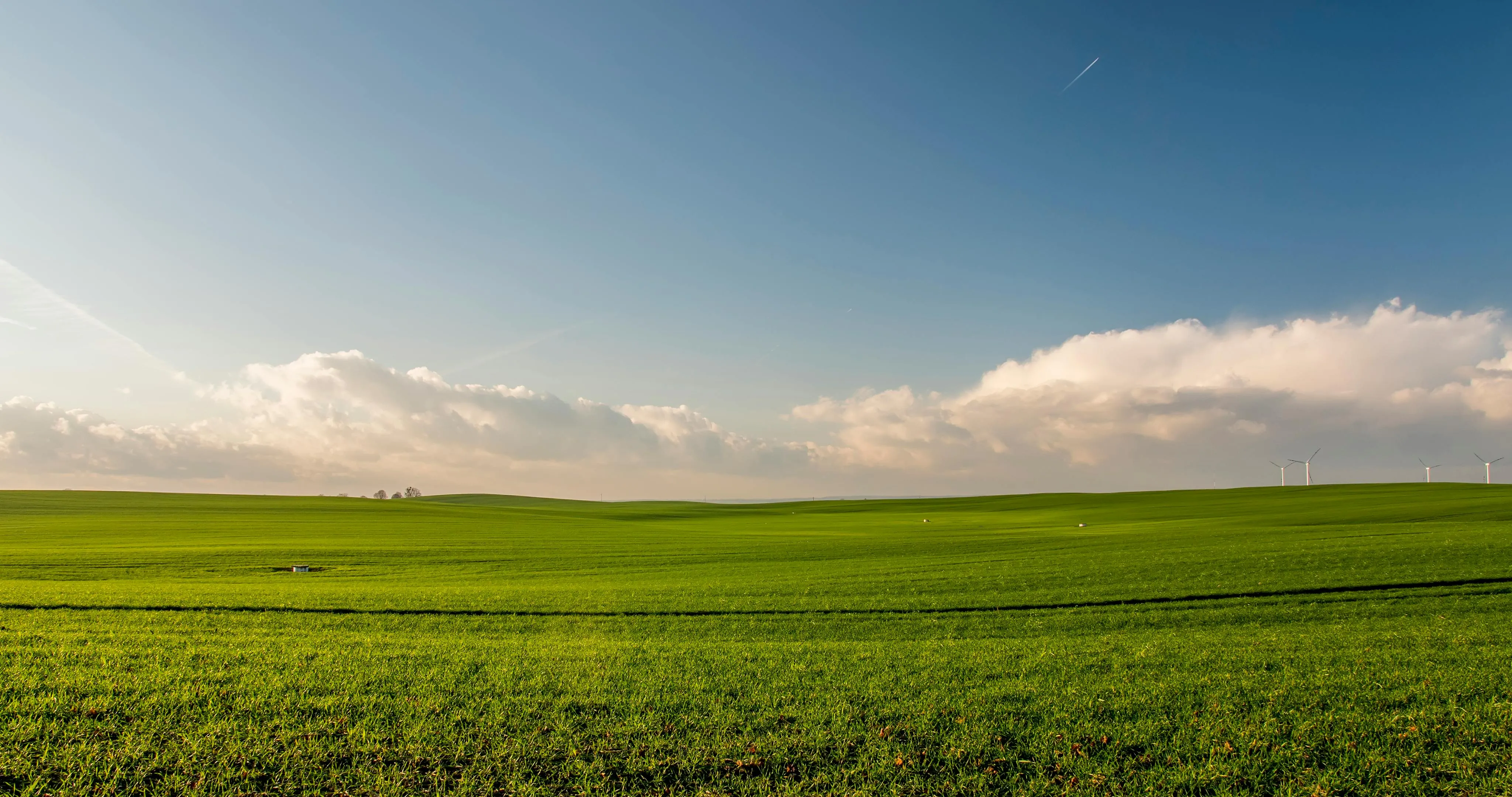 Wide Open Green Field Beneath a Soft Blue Cloudy Sky