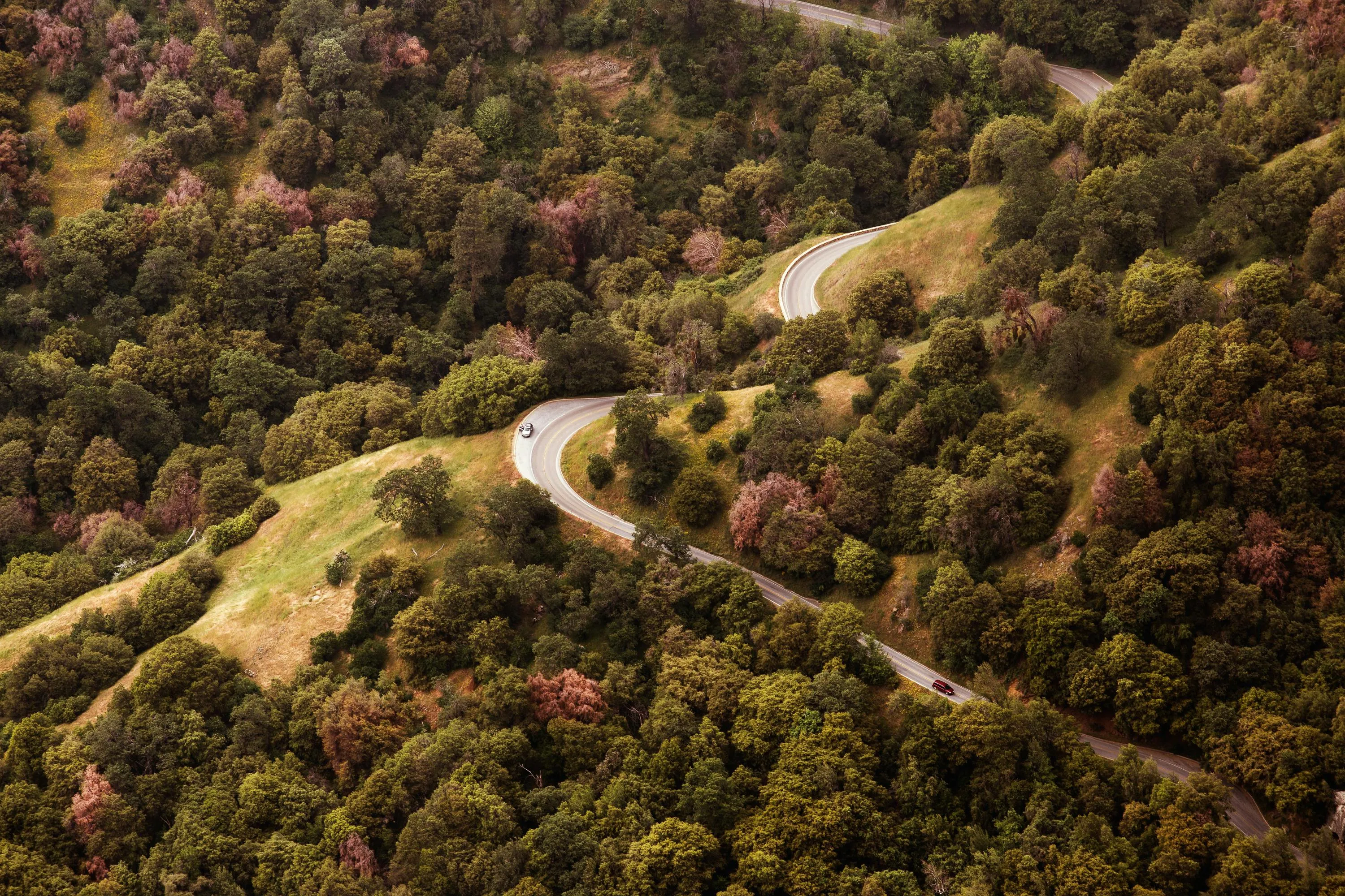 Winding Road Through a Scenic Hillside Forest in Autumn