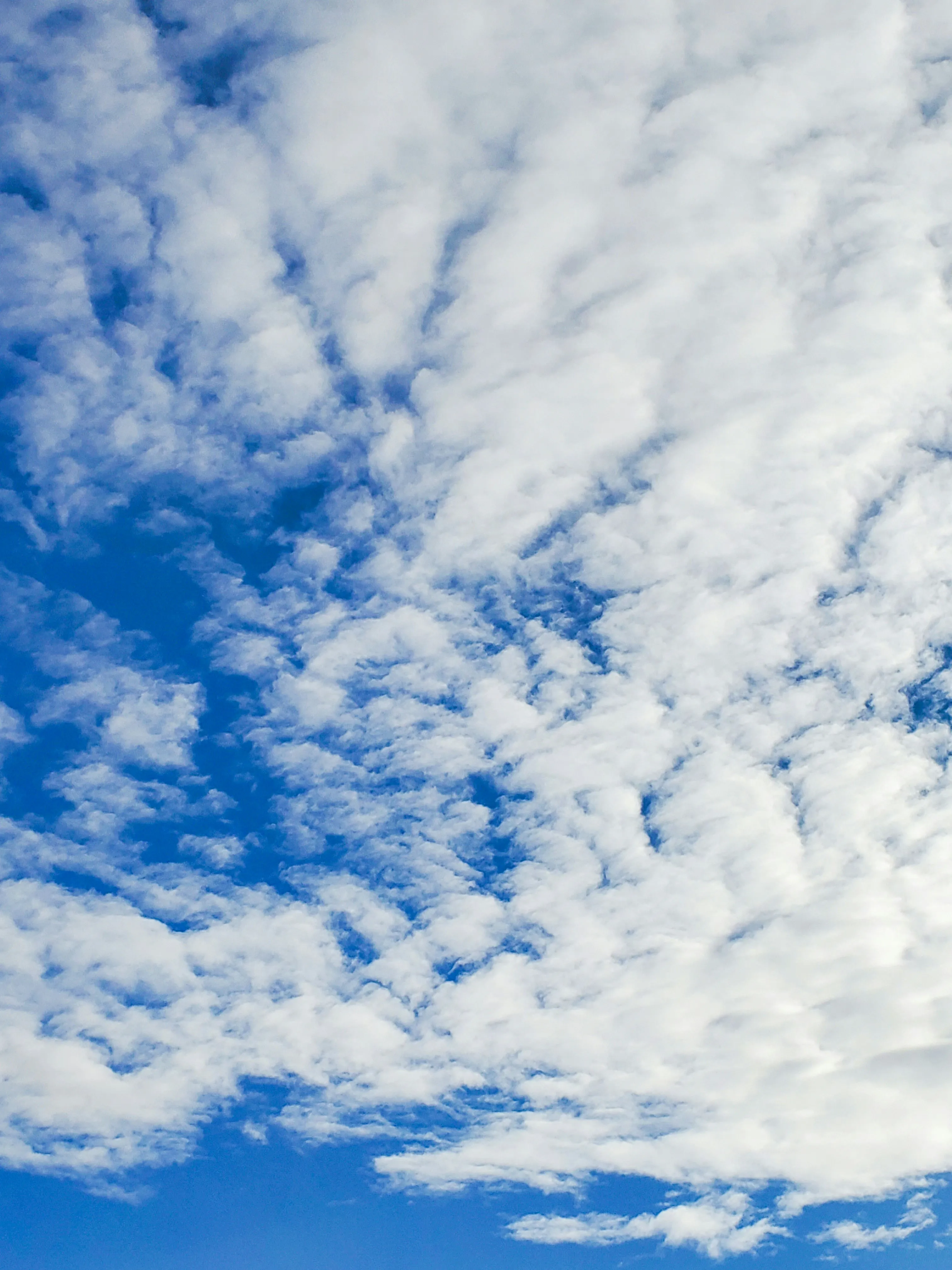 Wispy Cirrus Clouds in Blue Sky on a Clear Afternoon