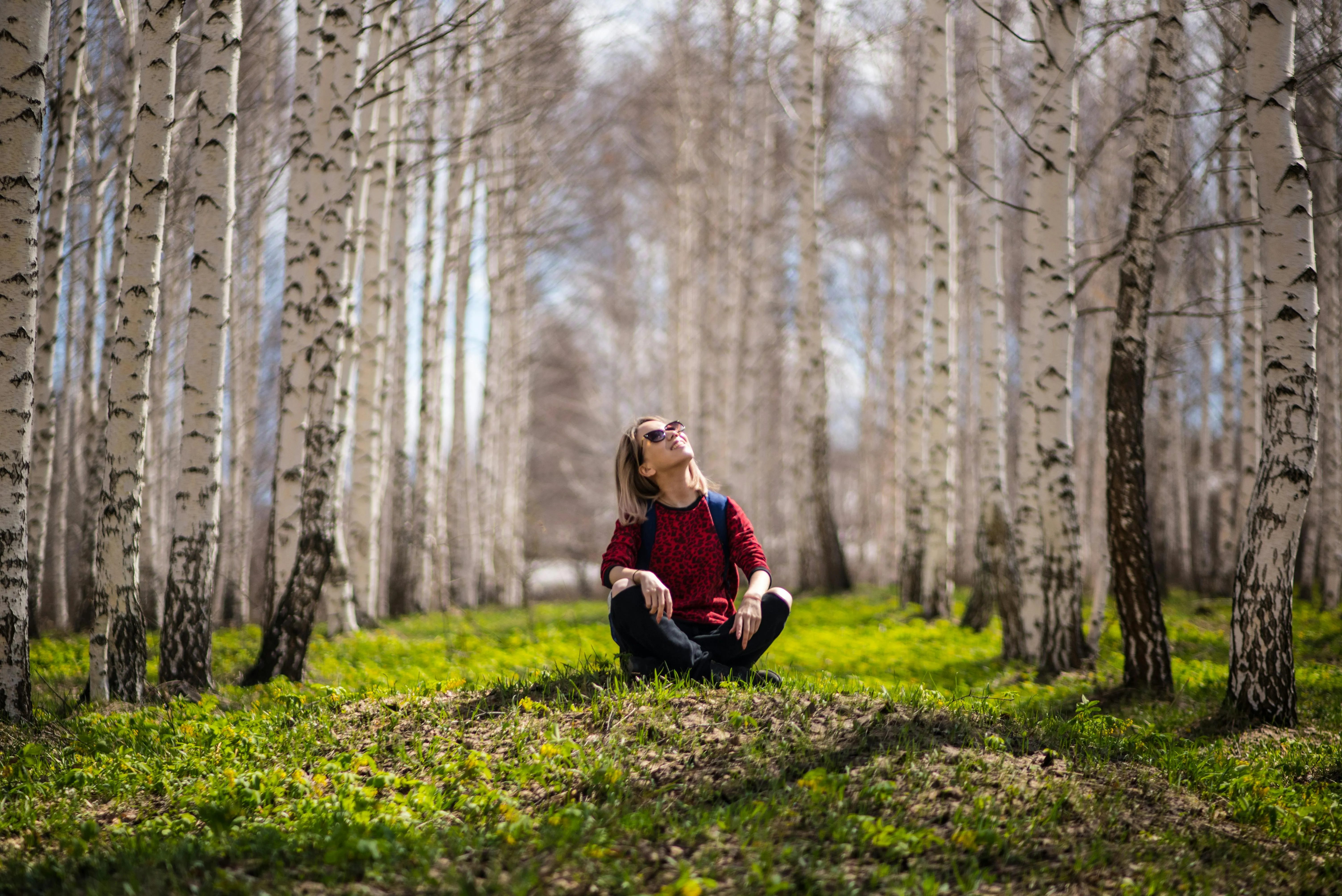 Woman Looking Up in a Forest of Tall White Birch Trees