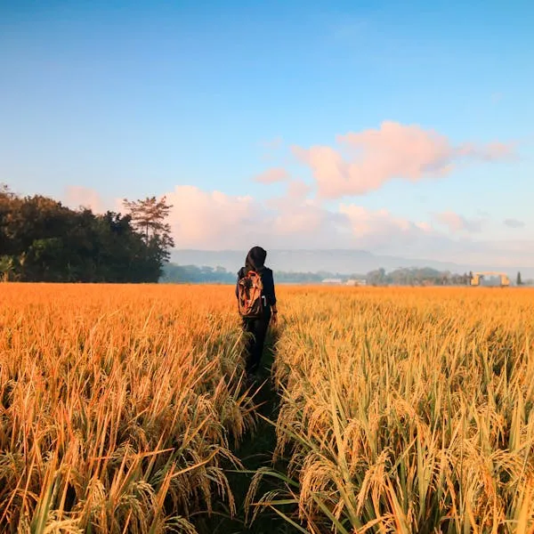 Woman Standing in Field Beneath Gentle Afternoon Clouds