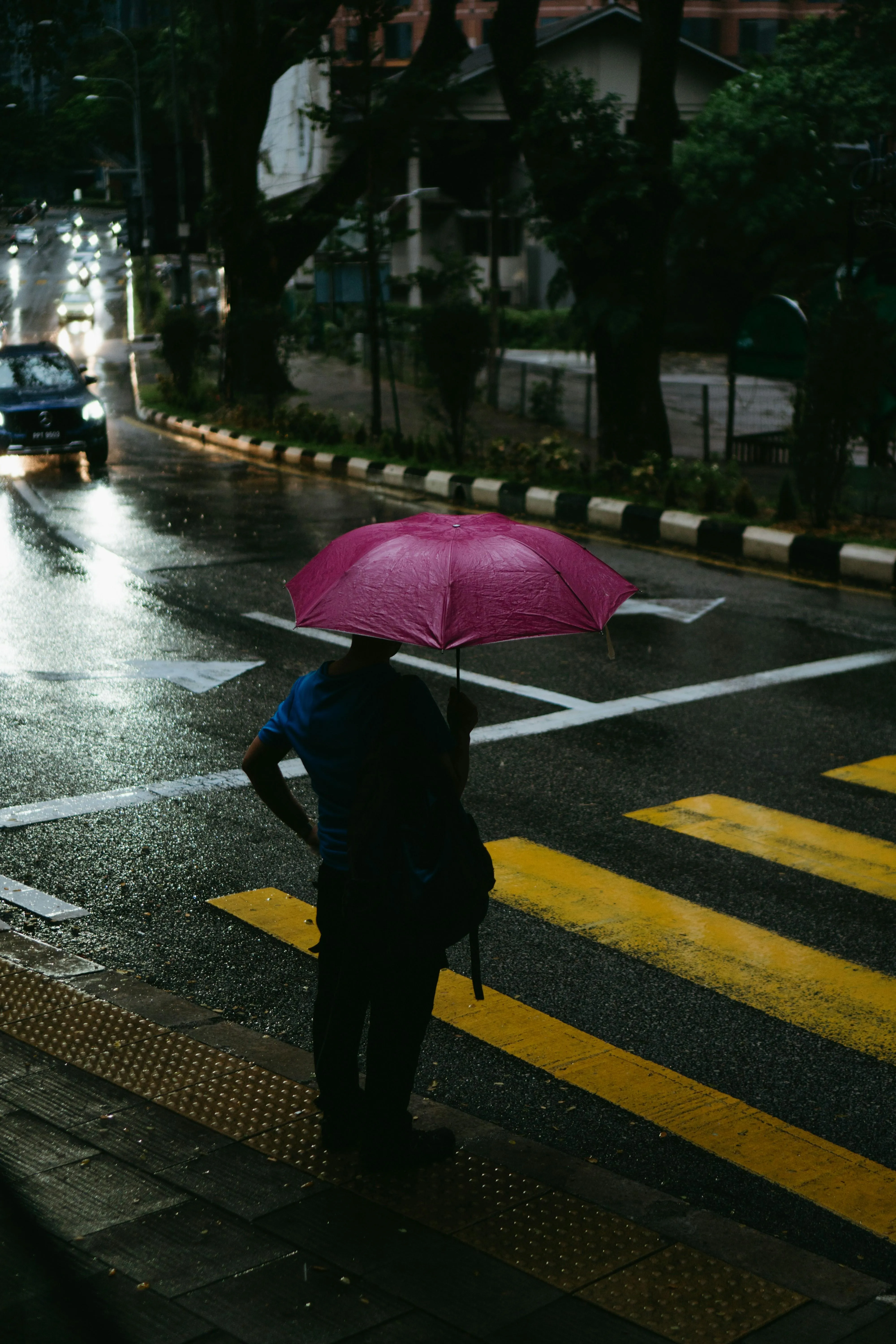 Woman Walking with Pink Umbrella on Rainy Crosswalk