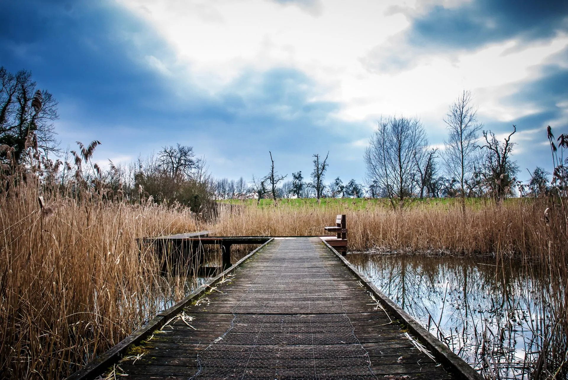 Wooden Dock Leading to a Lake with Bare Trees Wallpaper