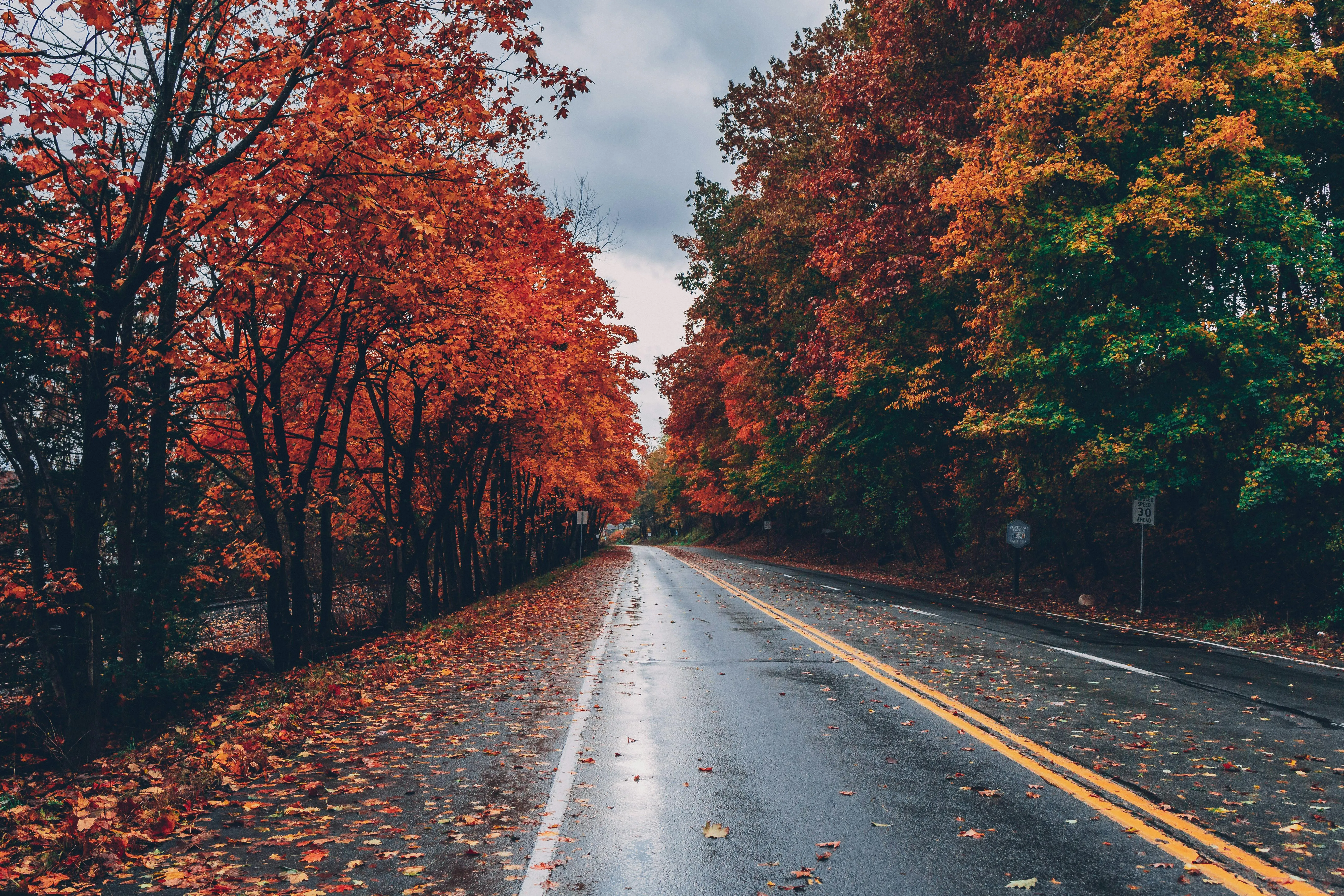 A Journey Through Autumn