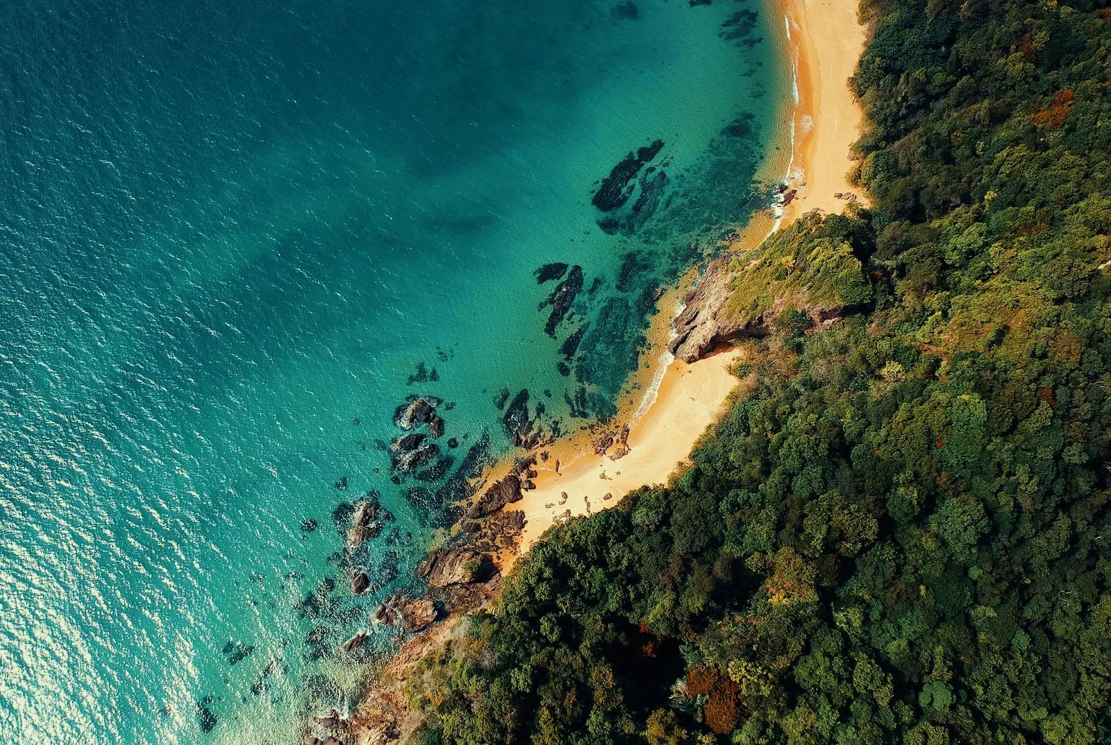 Aerial Shot of a Tropical Island with White Sandy Beaches