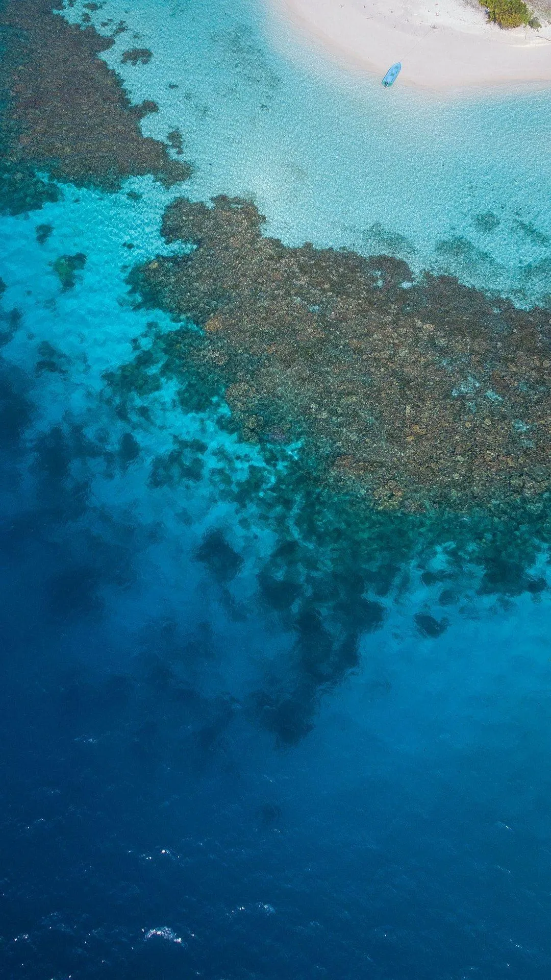 Aerial View of a Coral Reef in Deep Vibrant Blue Ocean Water