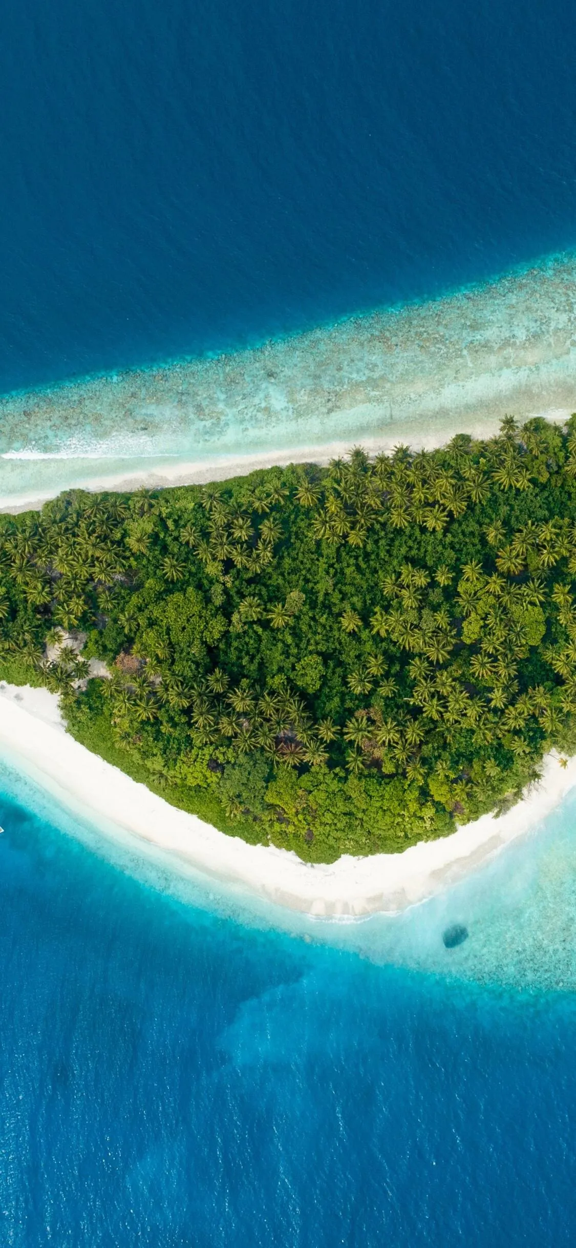 Aerial View of Green Island and Soft White Shoreline