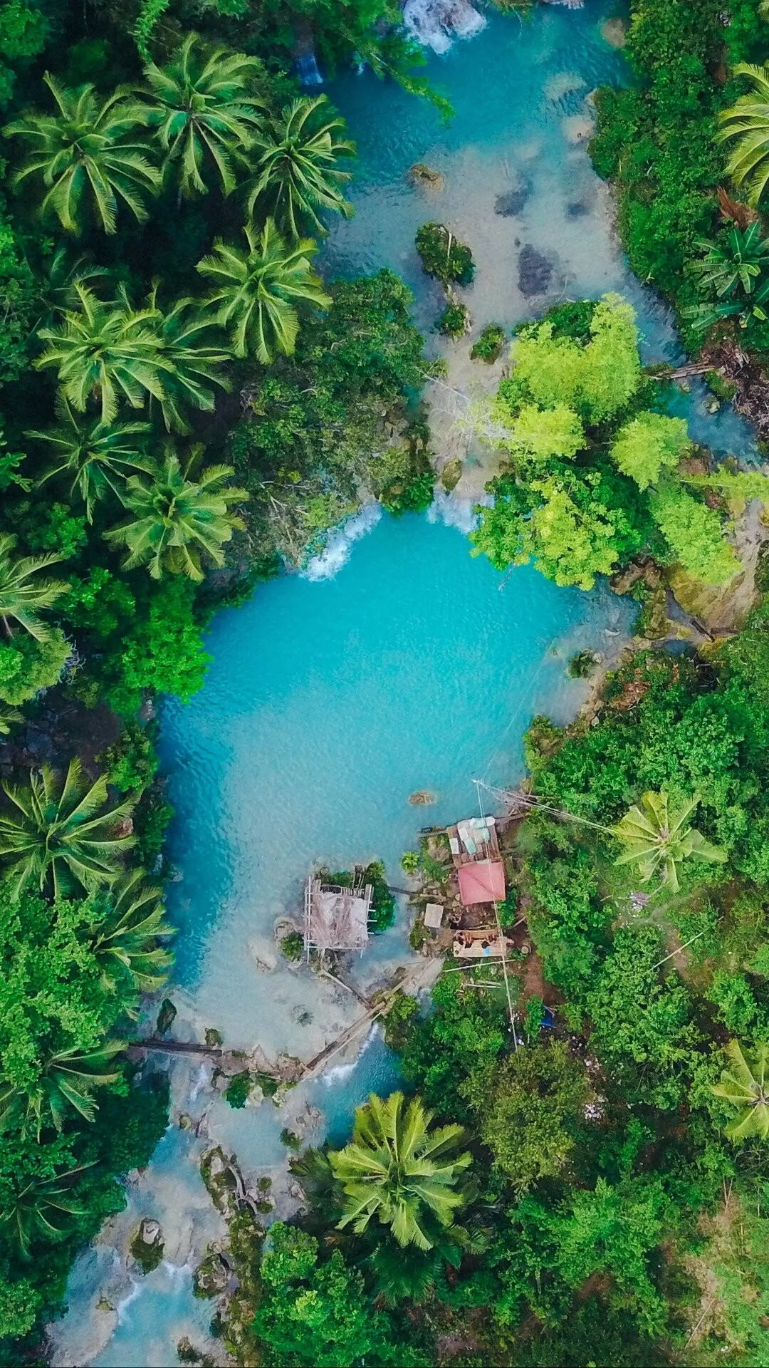 Aerial View of Jungle with Clear Blue Lagoon in the Center