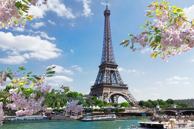 Amazing view of Eiffel tower with blooming flowers HD free