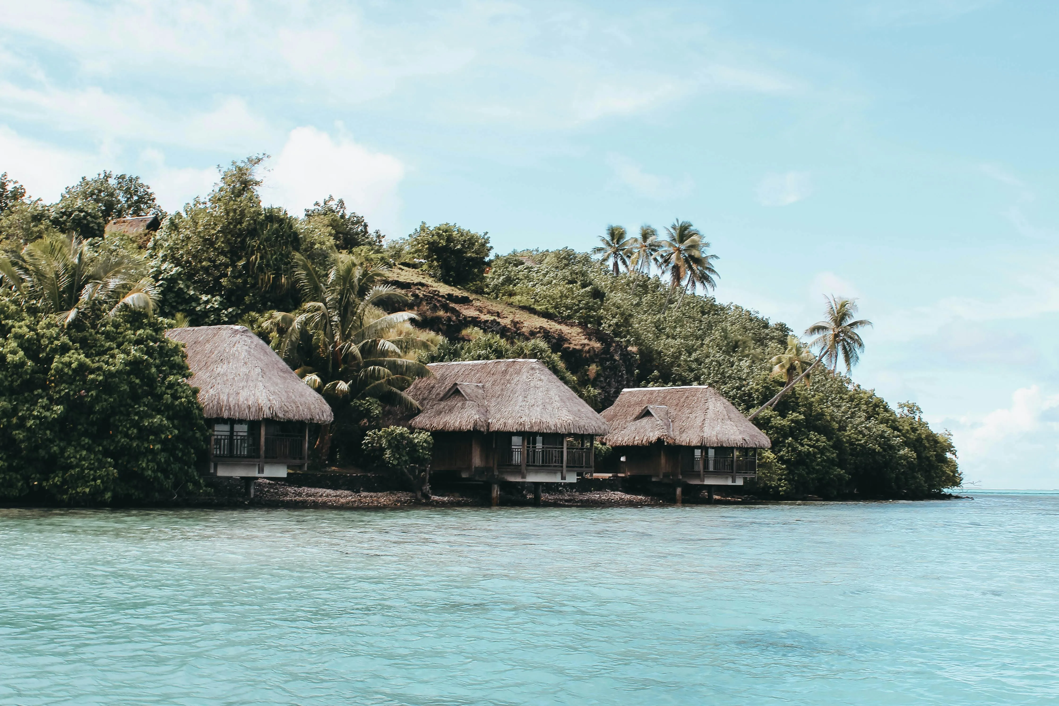 Beach Bungalows with Palm Trees on the Quiet Island Edge