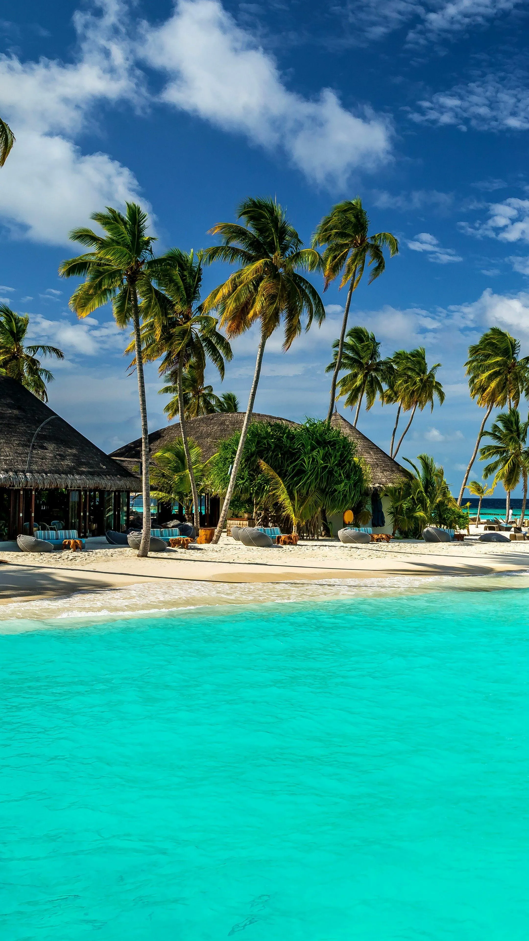 Beach Huts Near Blue Ocean Under Tall Palm Tree Wallpaper