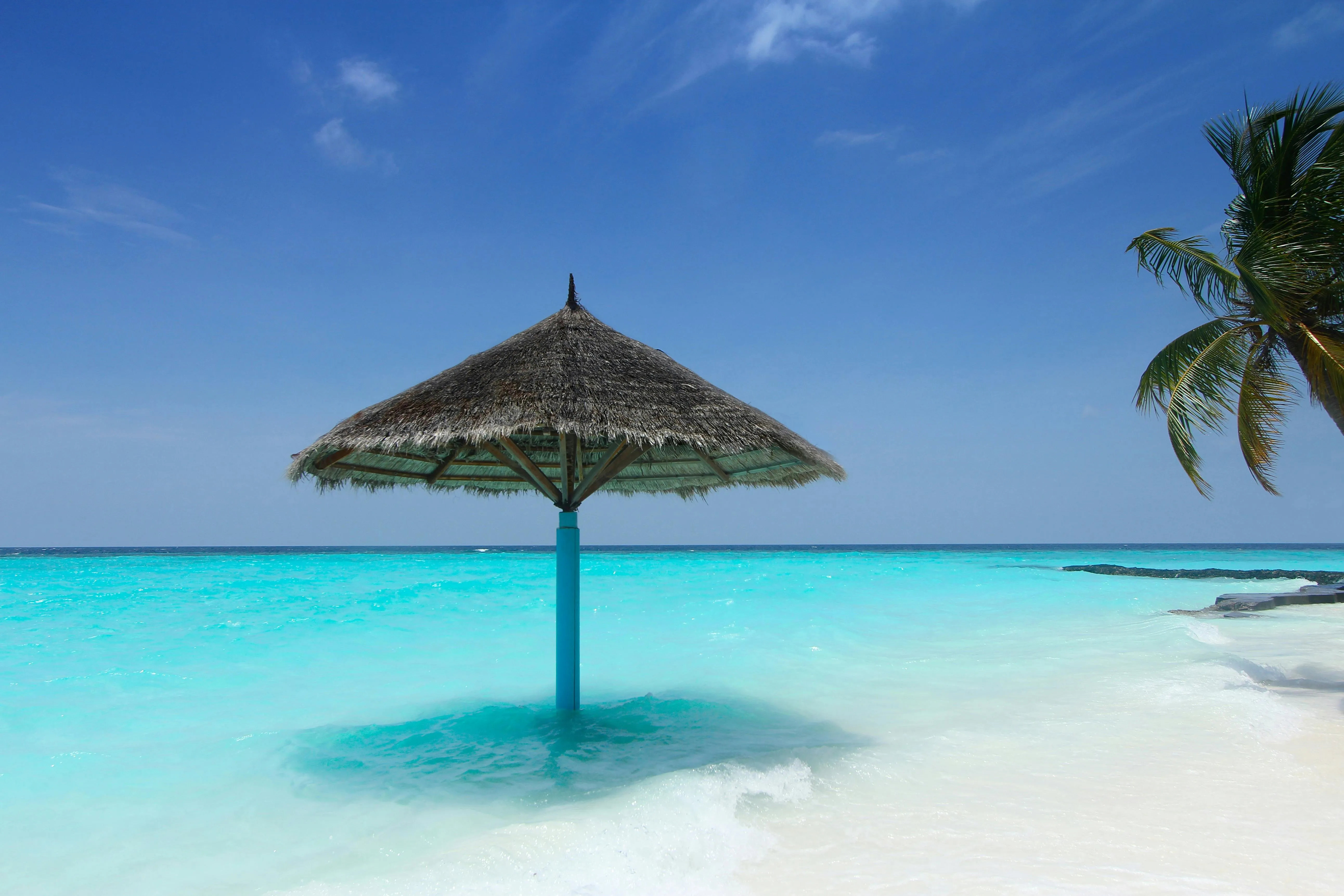 Beach Umbrella and Palm Trees Beside the Crystal Blue Sea
