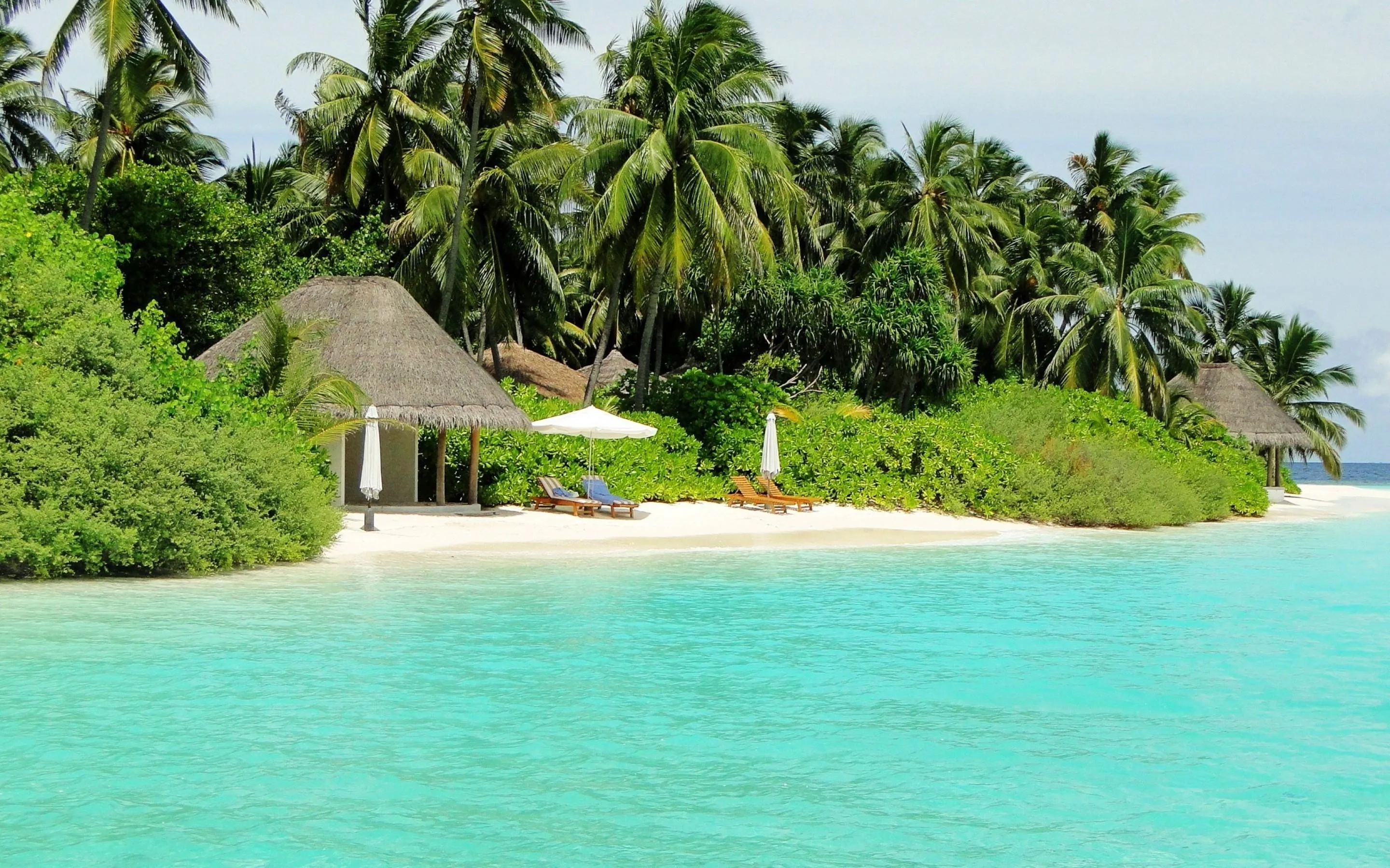 Beachfront Tropical Villa Surrounded by Lush Palm Trees