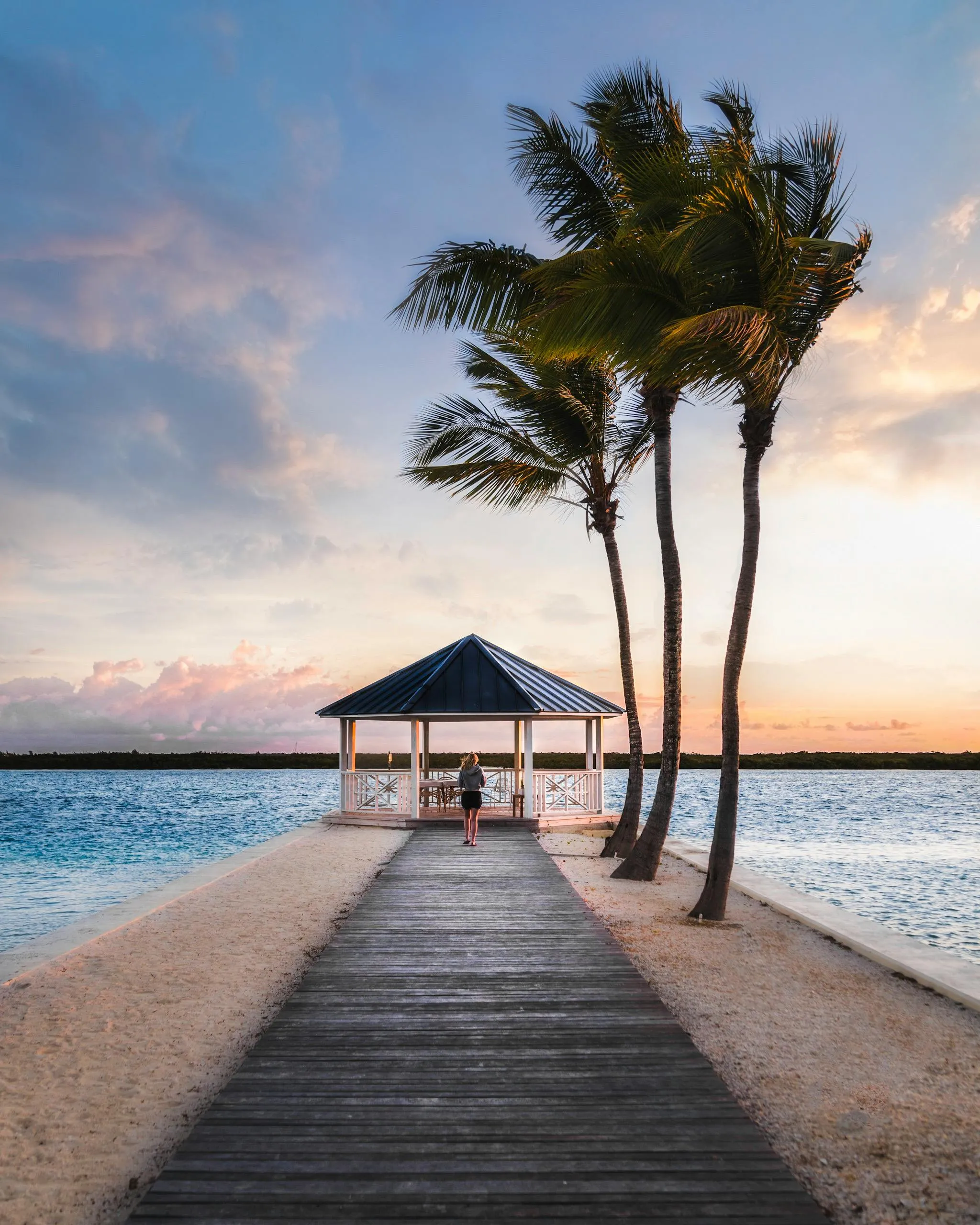 Boardwalk Leads to Beach Hut with Palm Trees and the Ocean