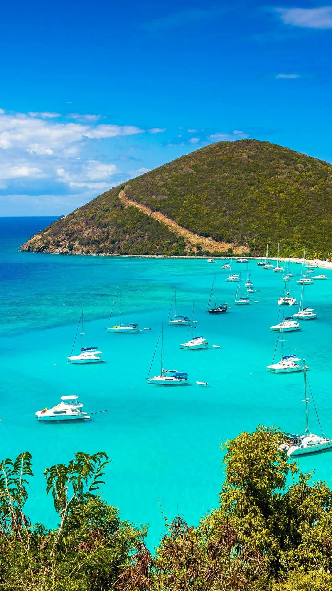 Boats Anchored in Turquoise Water Free Portrait Wallpaper