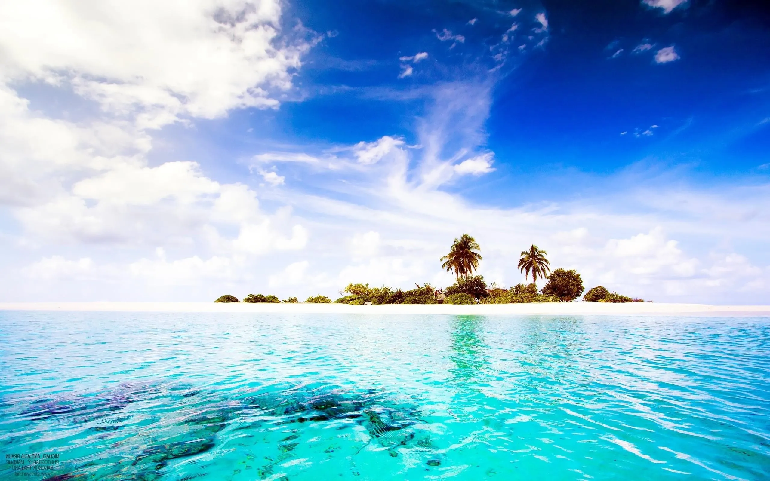 Bright Ocean with Tiny Tropical Palm Island Free Wallpaper