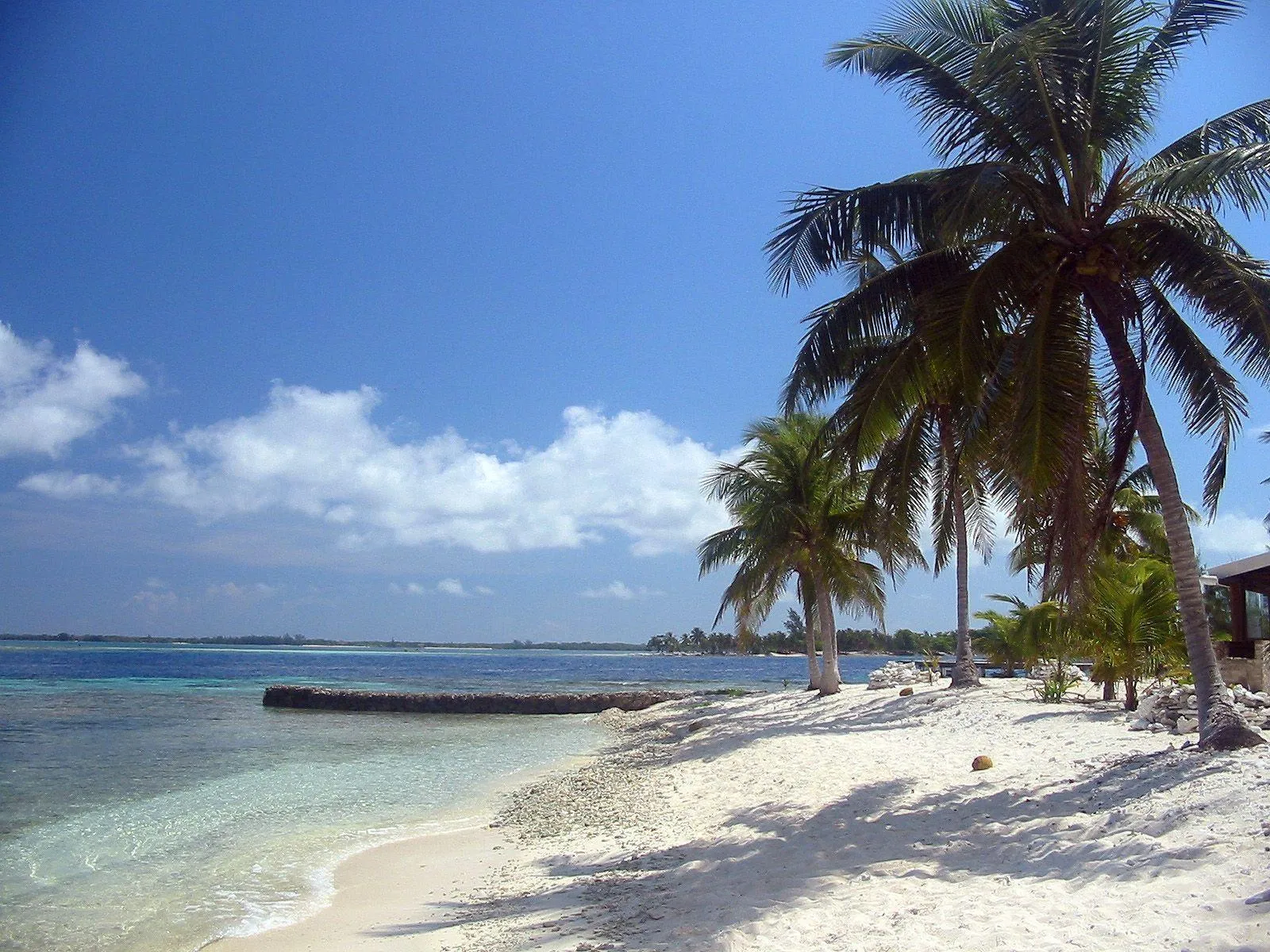 Bright White Beach with Palm Trees Download Free Wallpaper