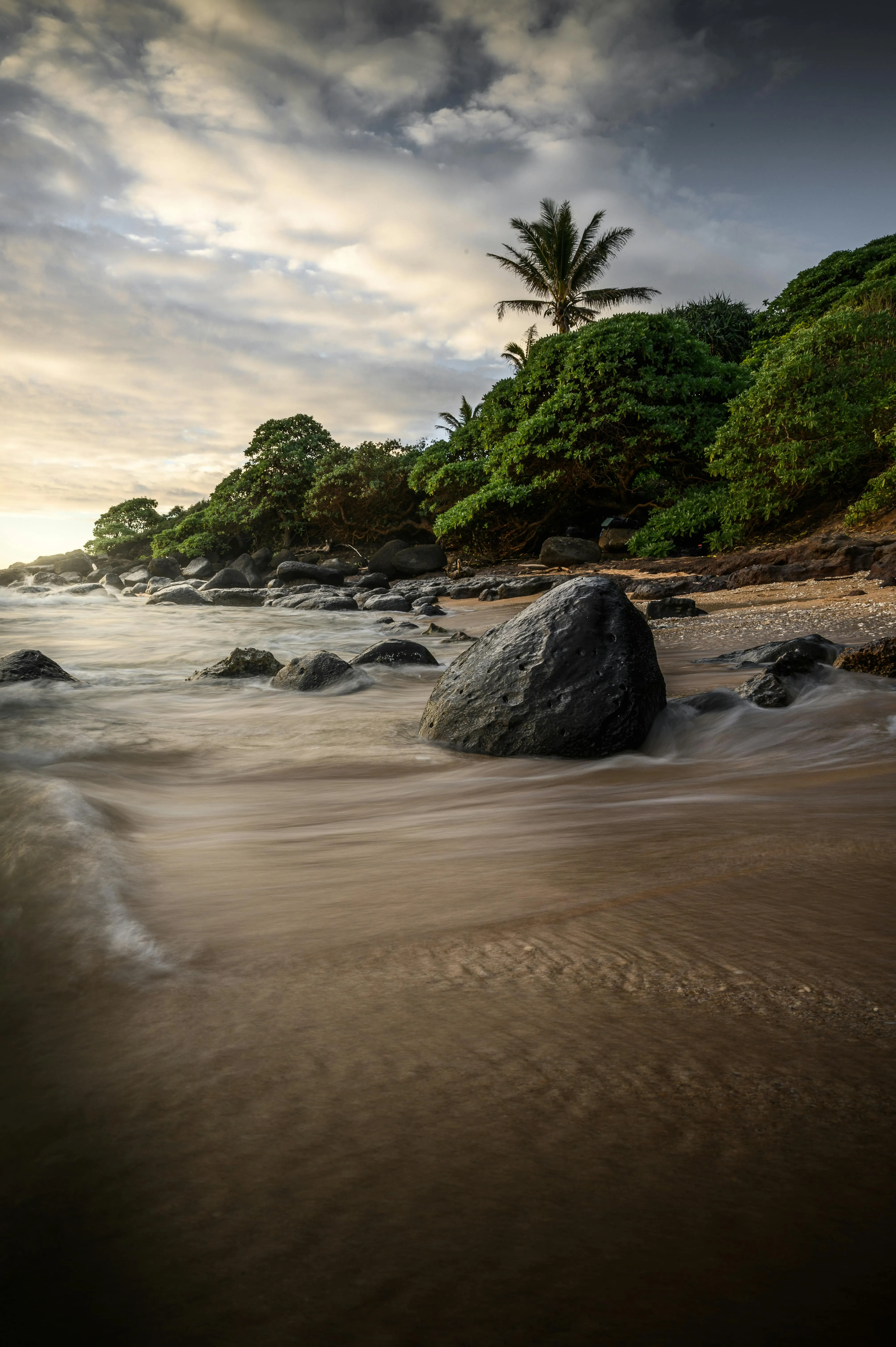 Calm Black Sand Beach with Palm Trees and Soft Waves