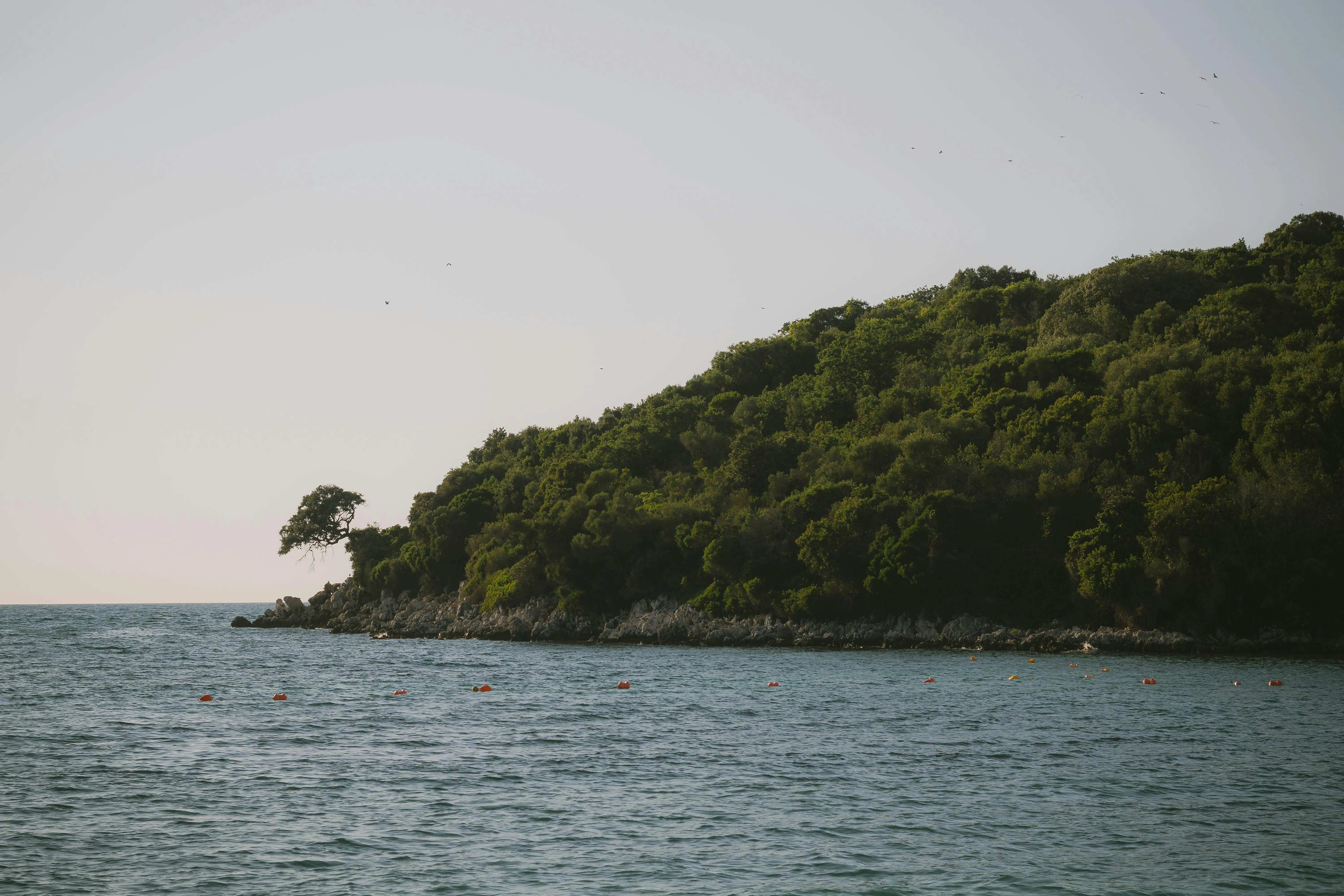 Calm Blue Sea with a Lush Green Island in the Distance