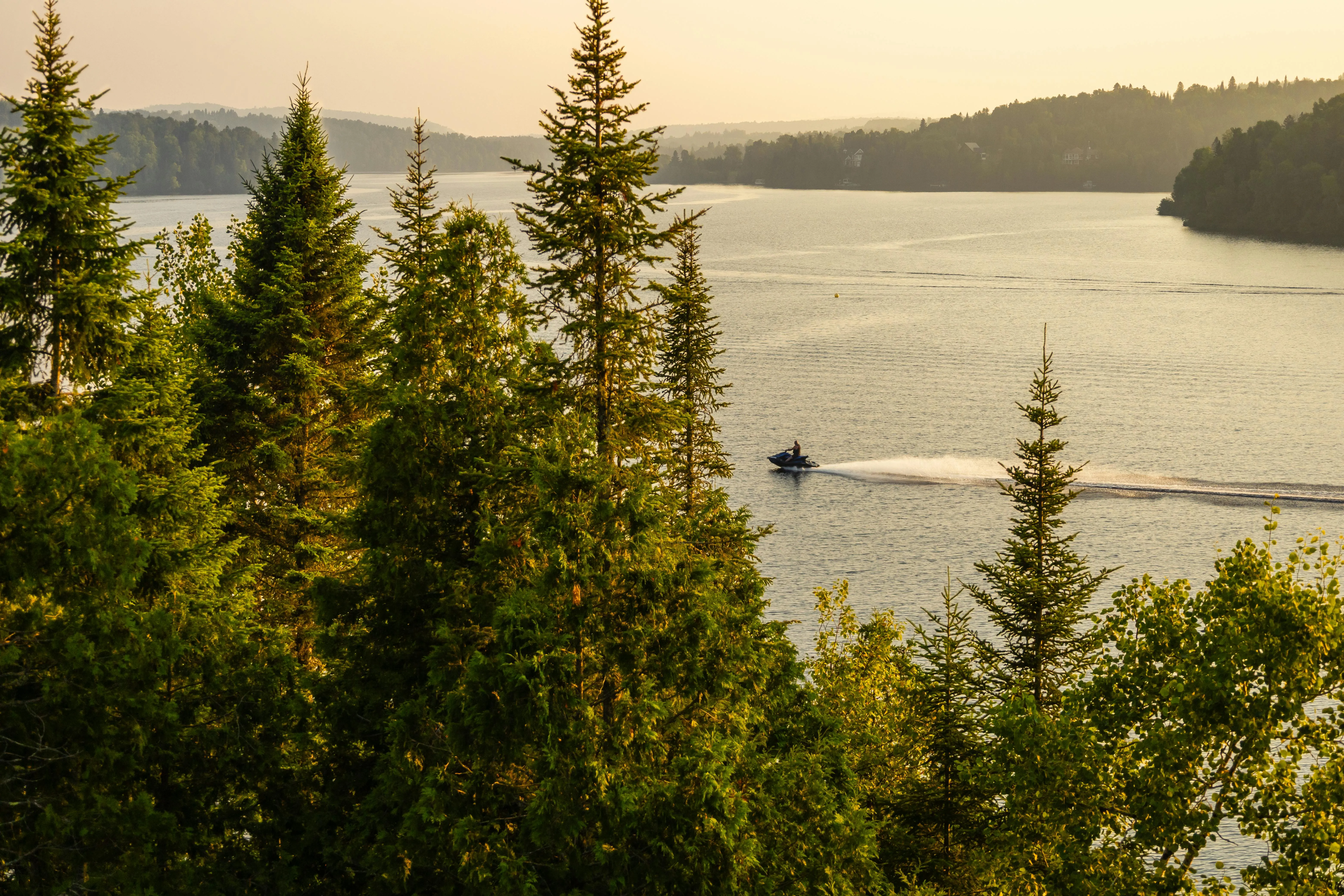 Calm Boat Ride Near Forested Shores on a Peaceful Lake