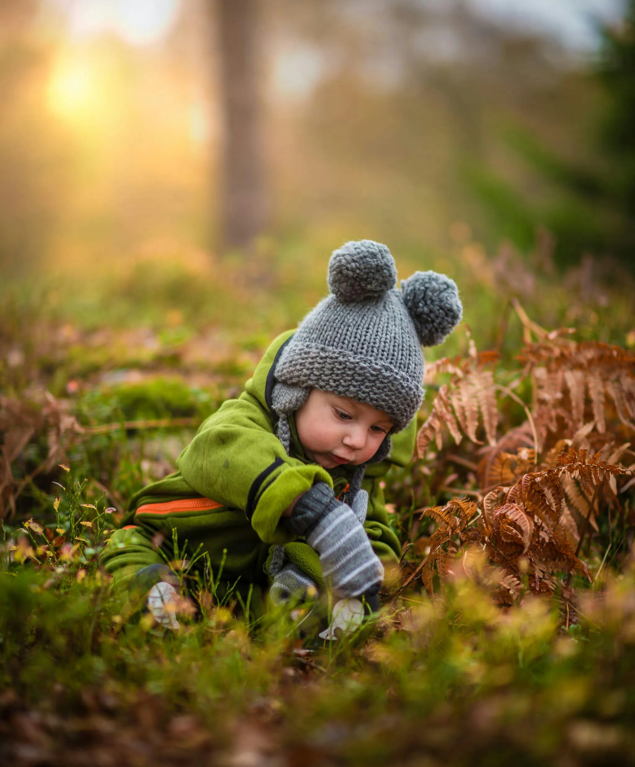 Child Explores the Autumn Forest HD Wallpaper