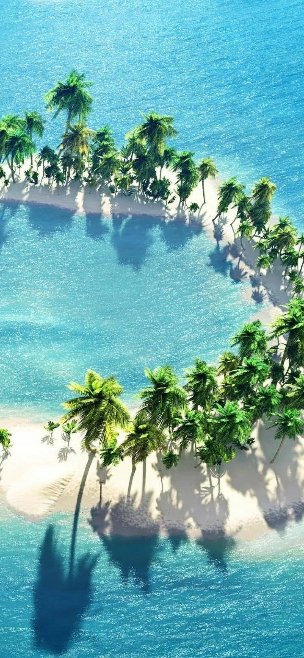 Circle of Palm Trees on Crystal Clear Tropical Water