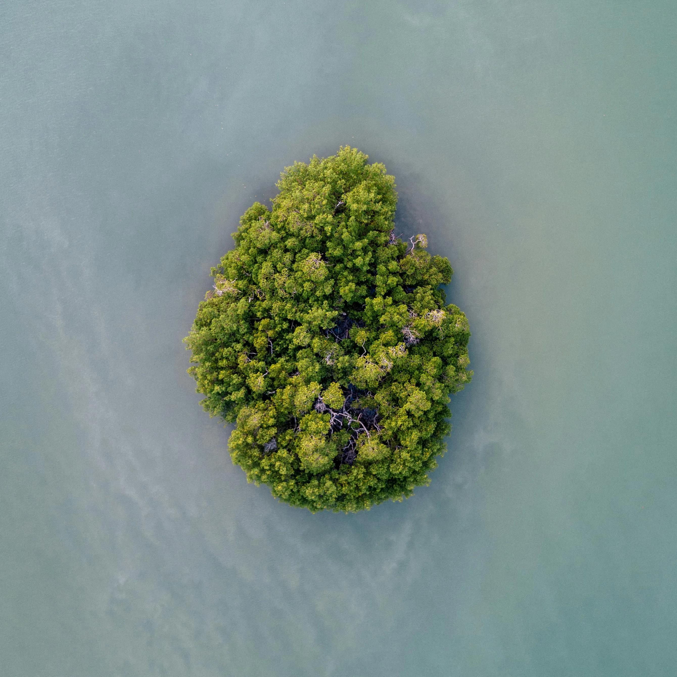 Circular Green Island in Seawater Top View Free Wallpaper