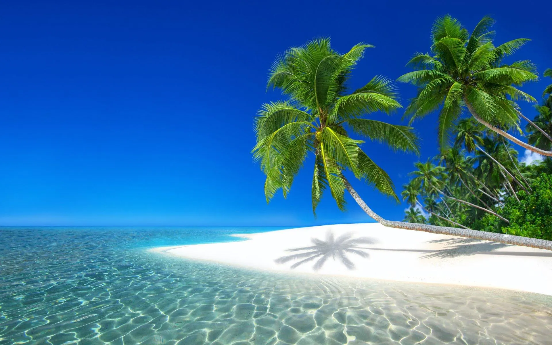 Clear Blue Water by White Sandy Beach with Palm Shadows