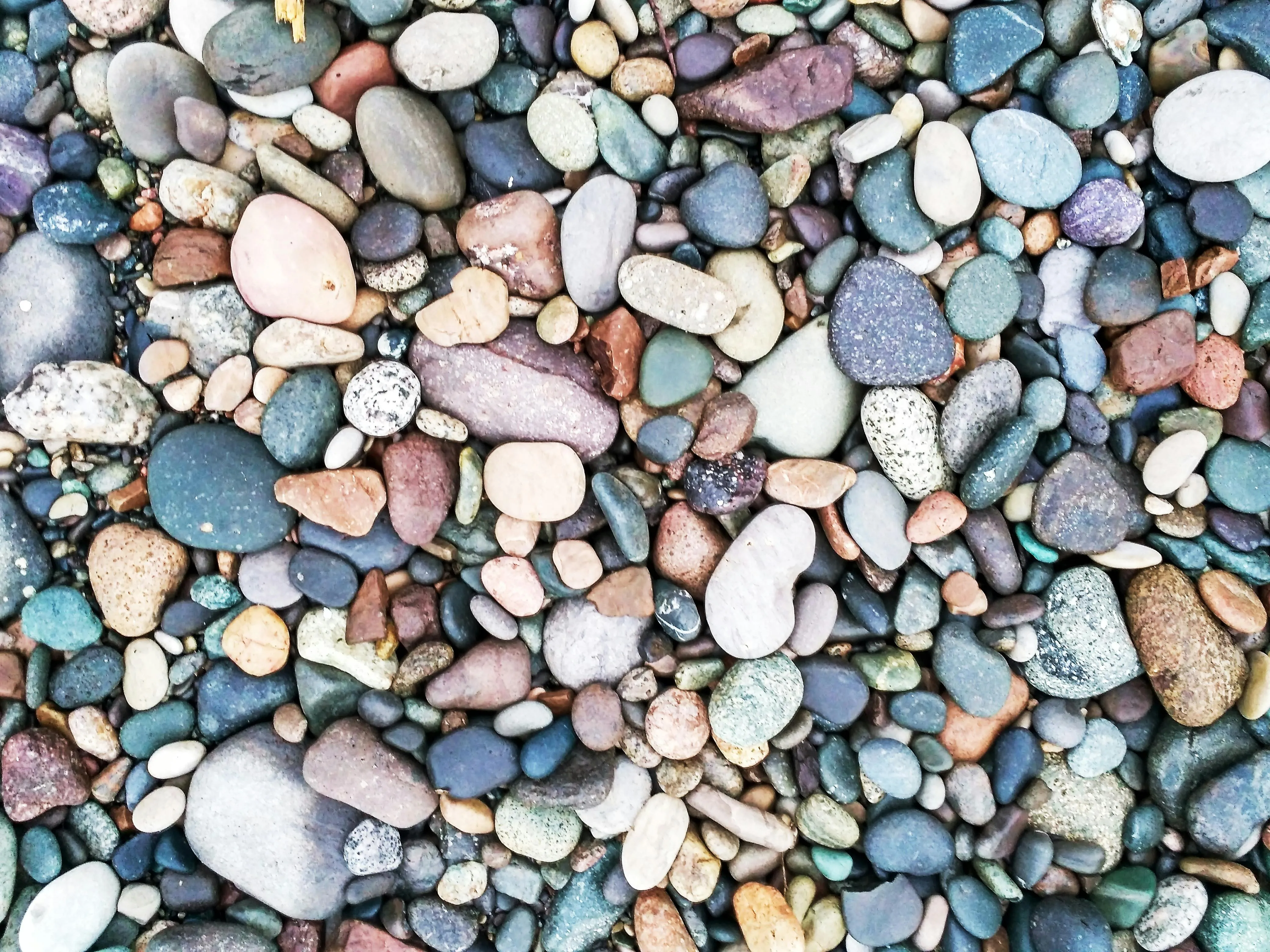 Close View of Colorful Smooth Beach Pebbles Free Wallpaper
