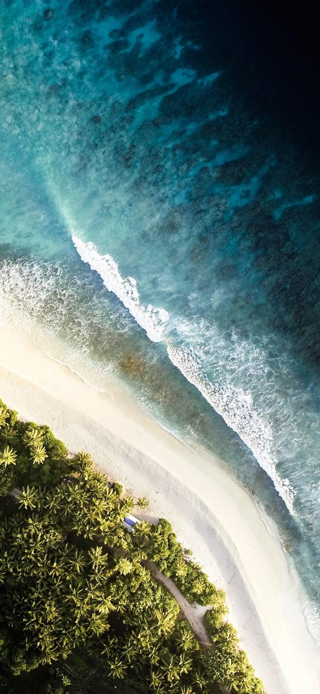 Coastline with Lush Green Forest and a Turquoise Sea Curve