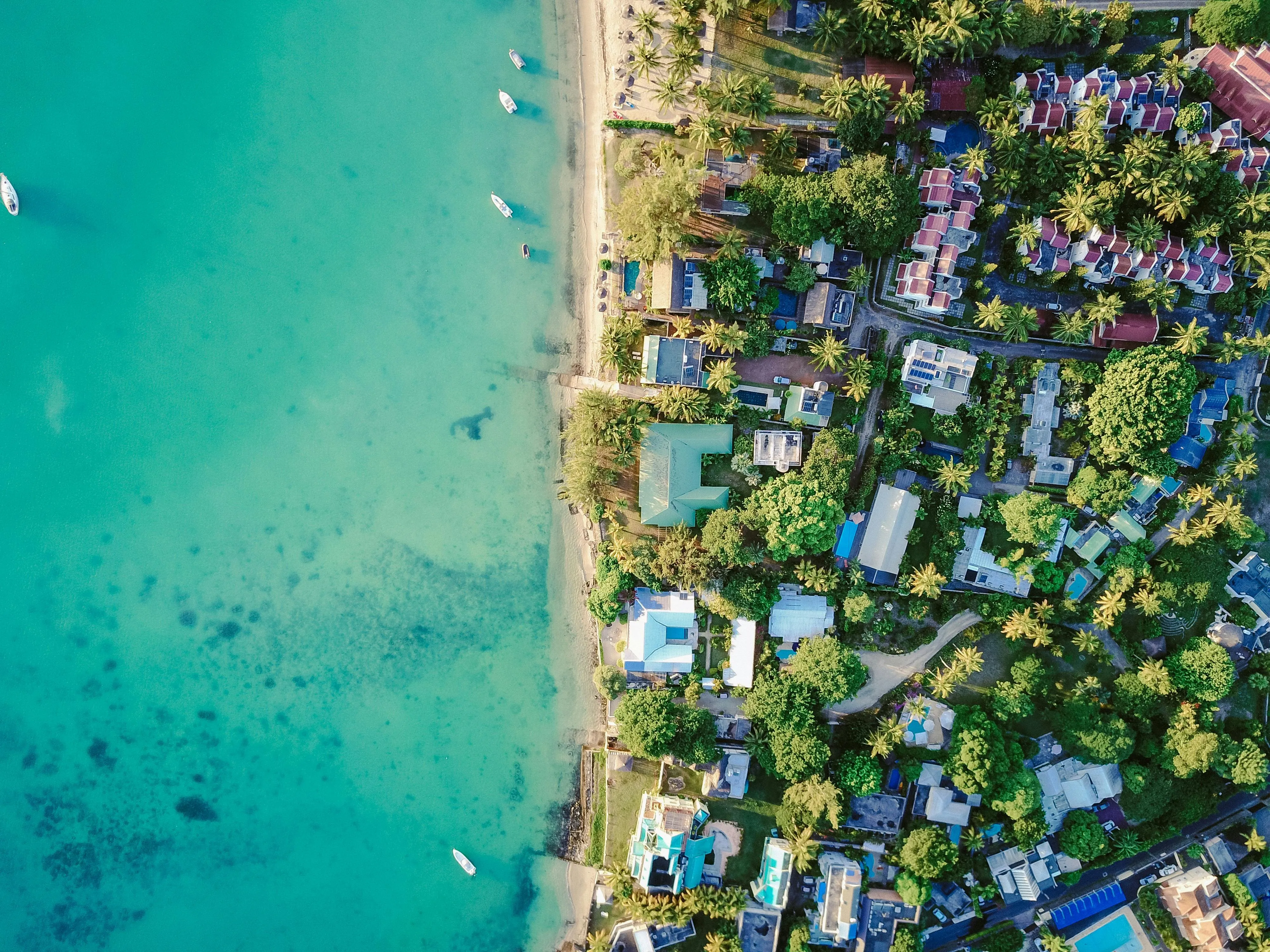 Colorful Beach Town with Green Water and Palm Trees